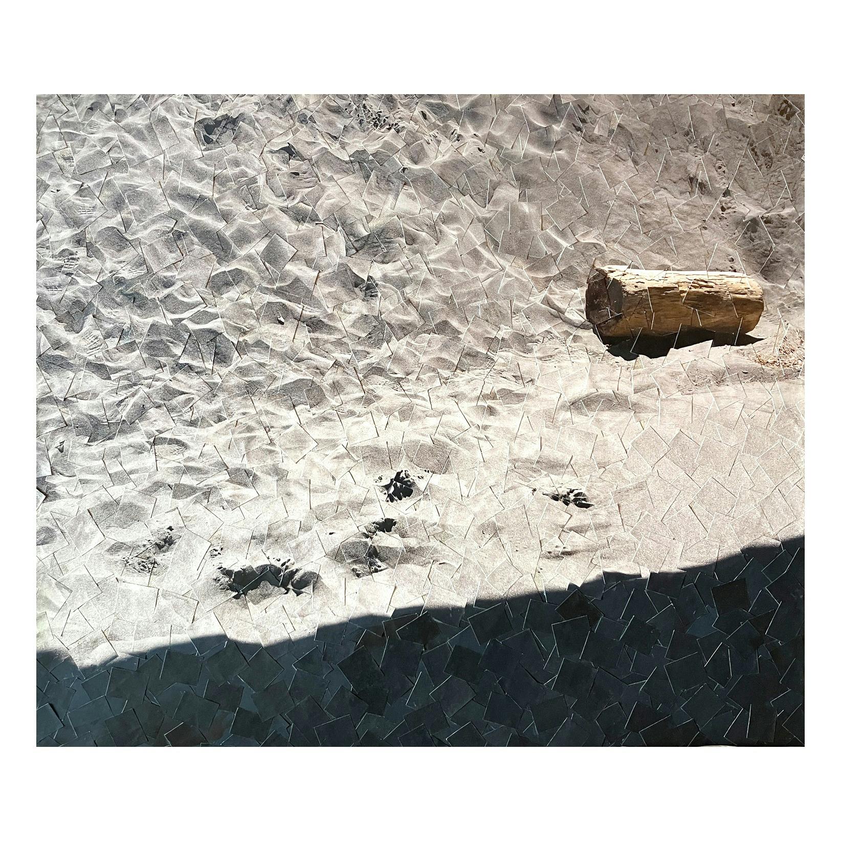 Scenography (log)