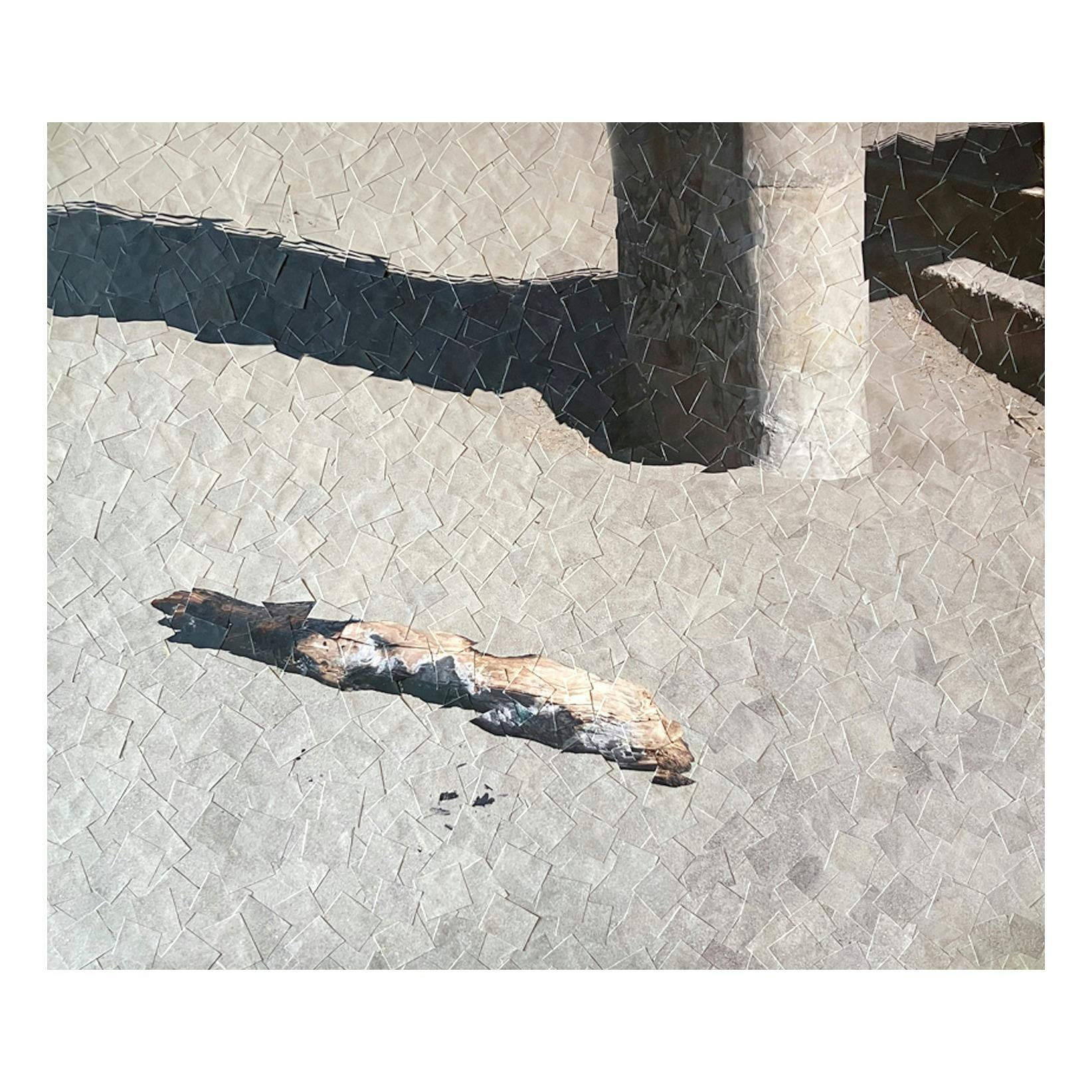 Scenography (driftwood)