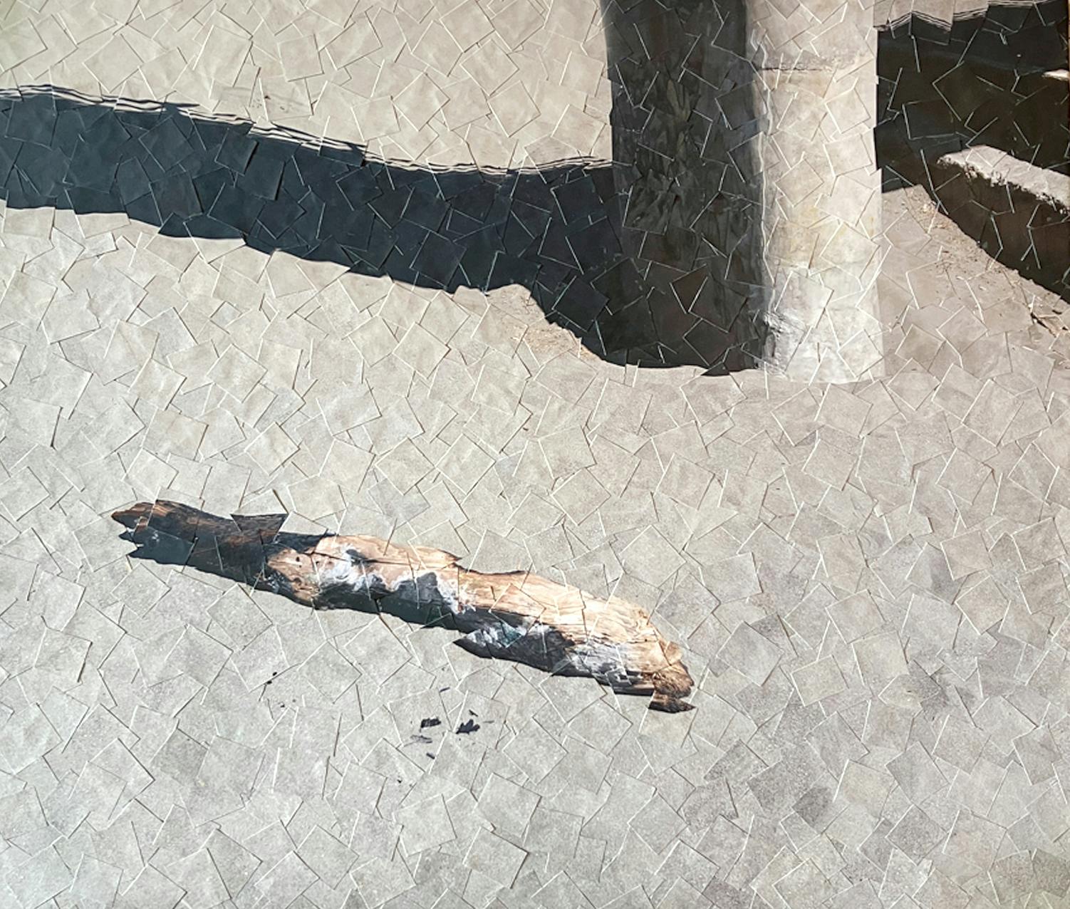 Scenography (driftwood)