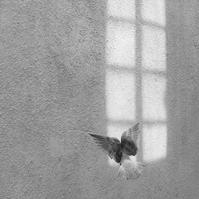 Secret Window