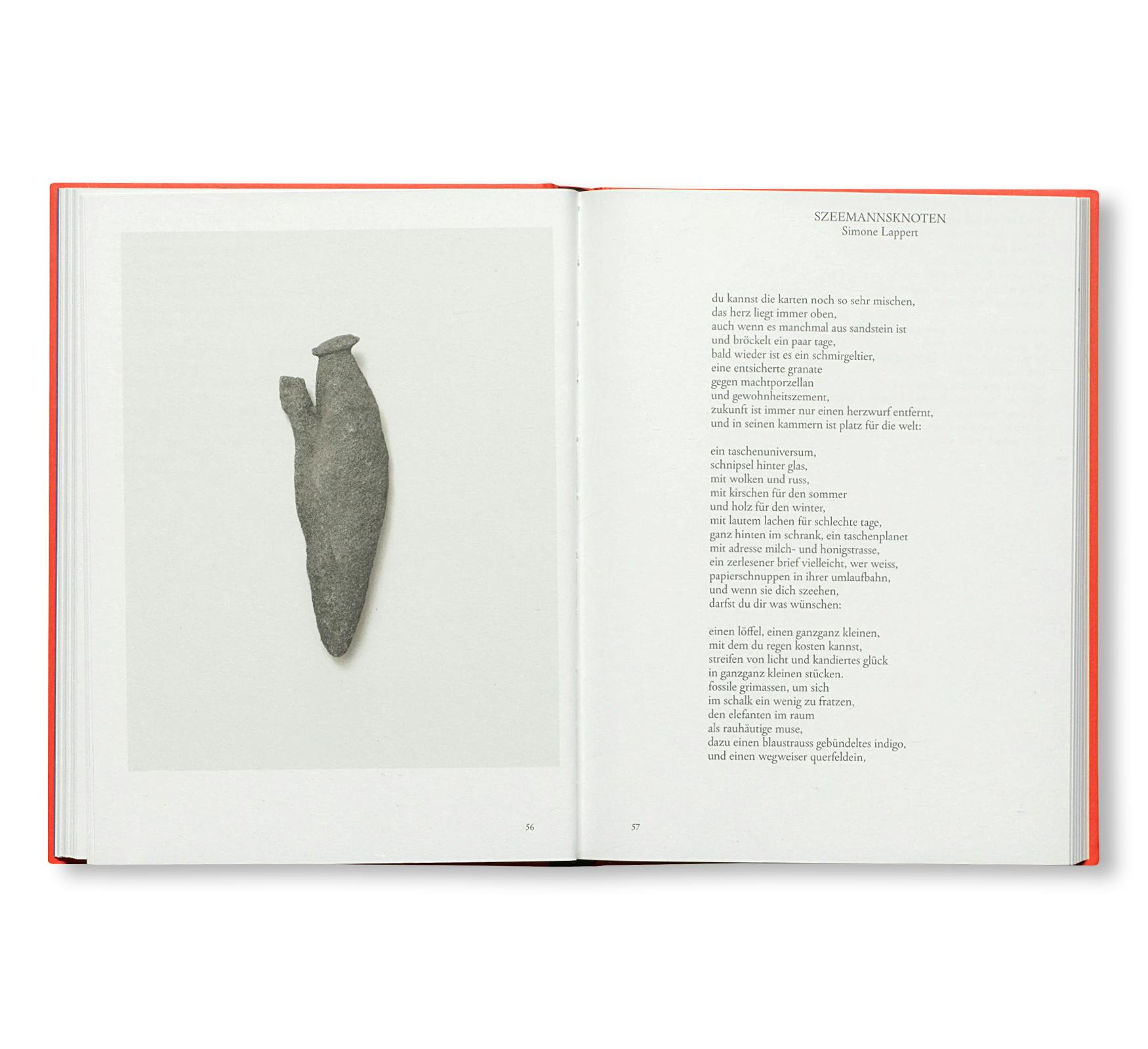 PRETENZIONE INTENZIONE – OBJECTS OF BEAUTY AND BEWILDERMENT FROM THE ARCHIVE OF HARALD SZEEMANN