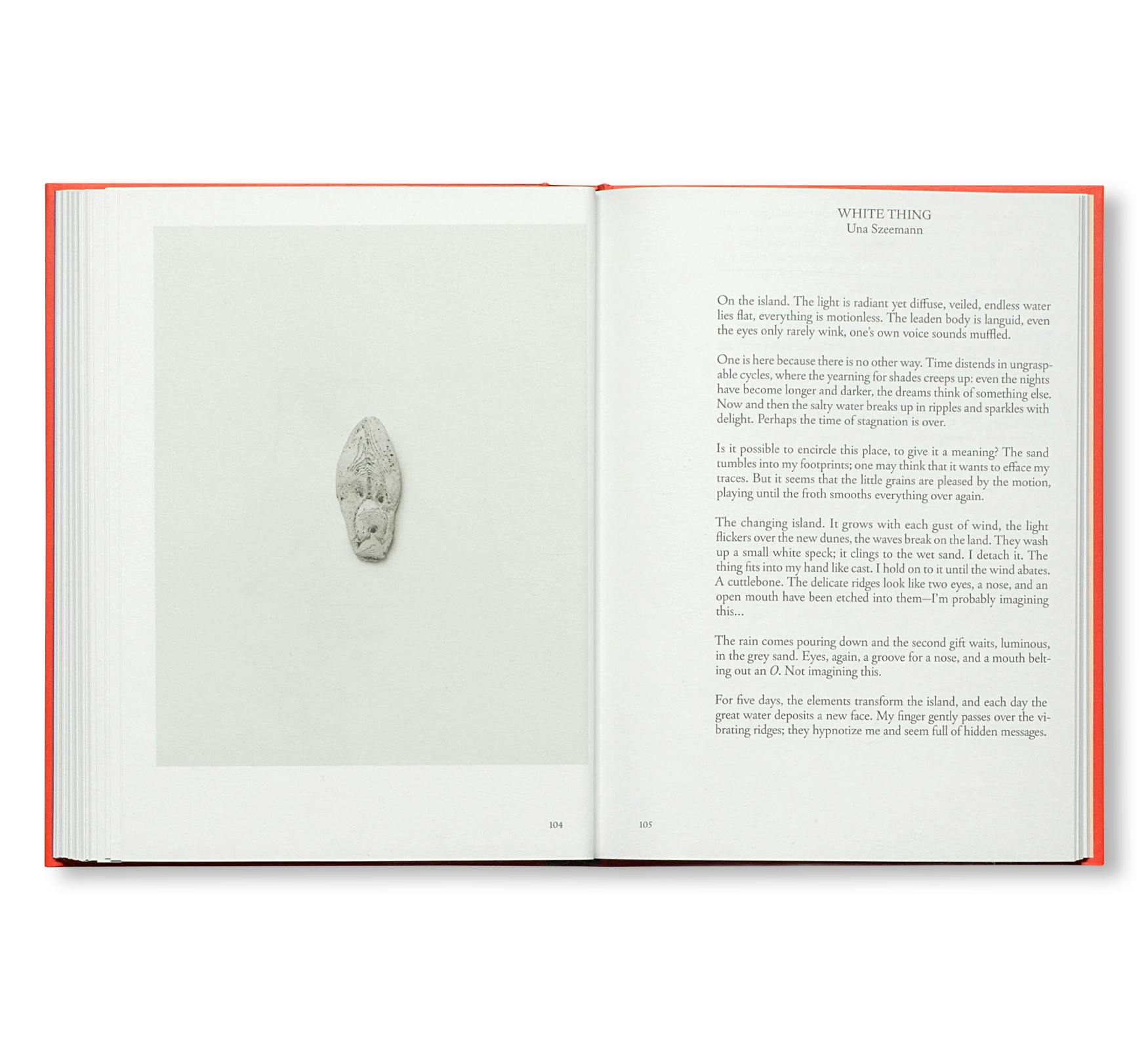 PRETENZIONE INTENZIONE – OBJECTS OF BEAUTY AND BEWILDERMENT FROM THE ARCHIVE OF HARALD SZEEMANN