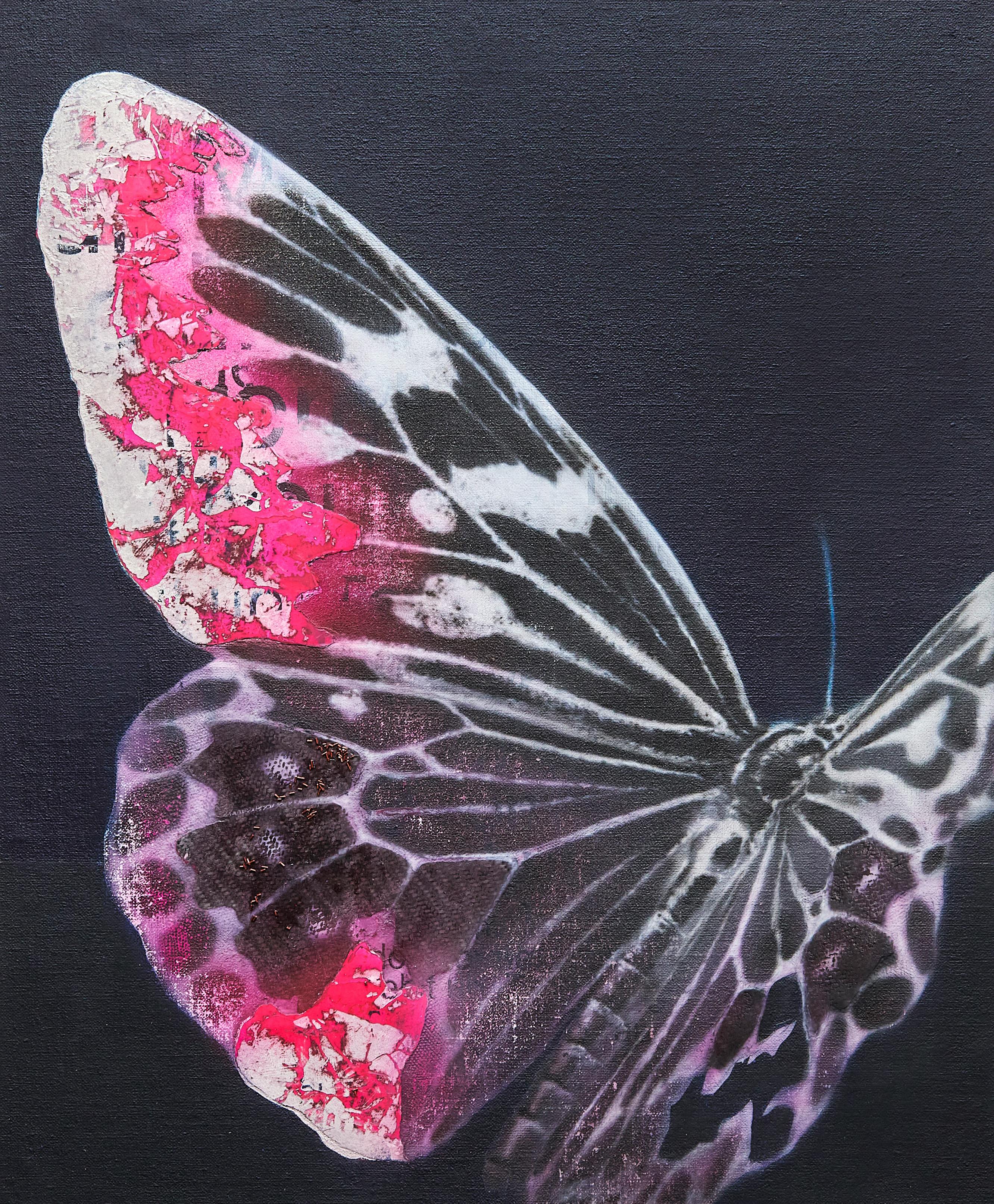 Cyborg Butterfly 4