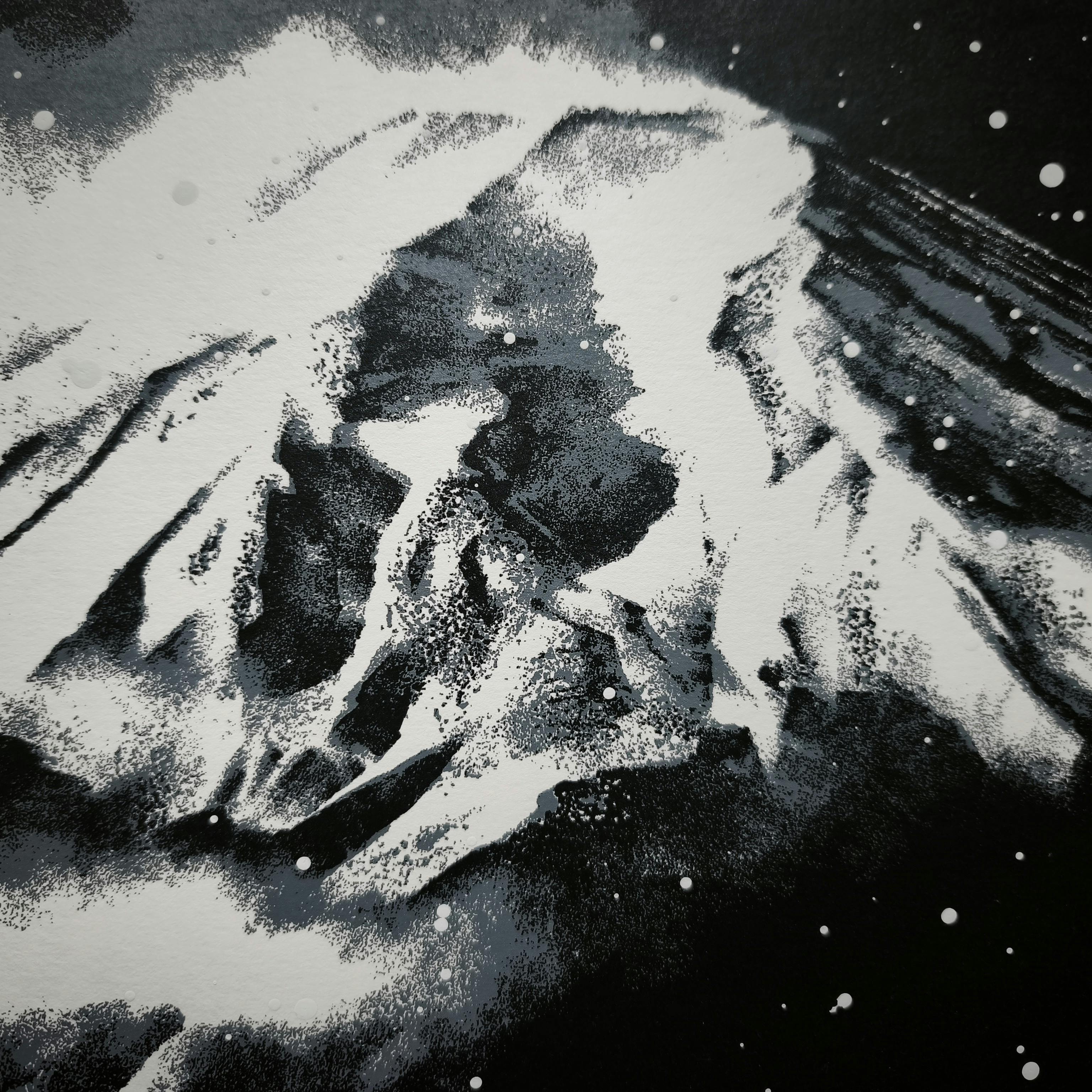 Animism Fuji