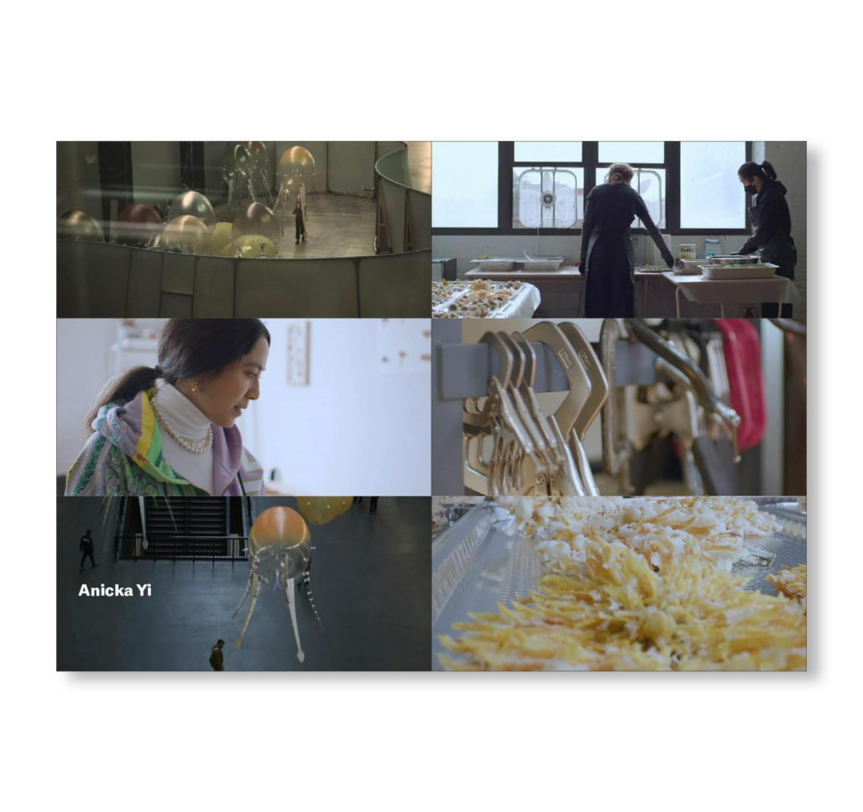 ARTISTS & THE UNKNOWN: ART21 INTERVIEWS WITH ARTISTS