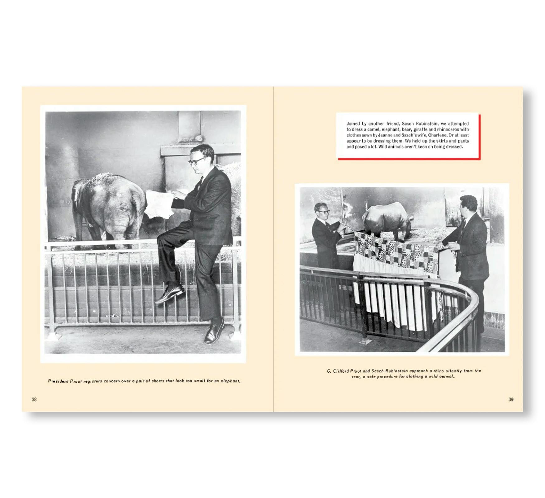 INSIDE SINA: THE SOCIETY FOR INDECENCY TO NAKED ANIMALS