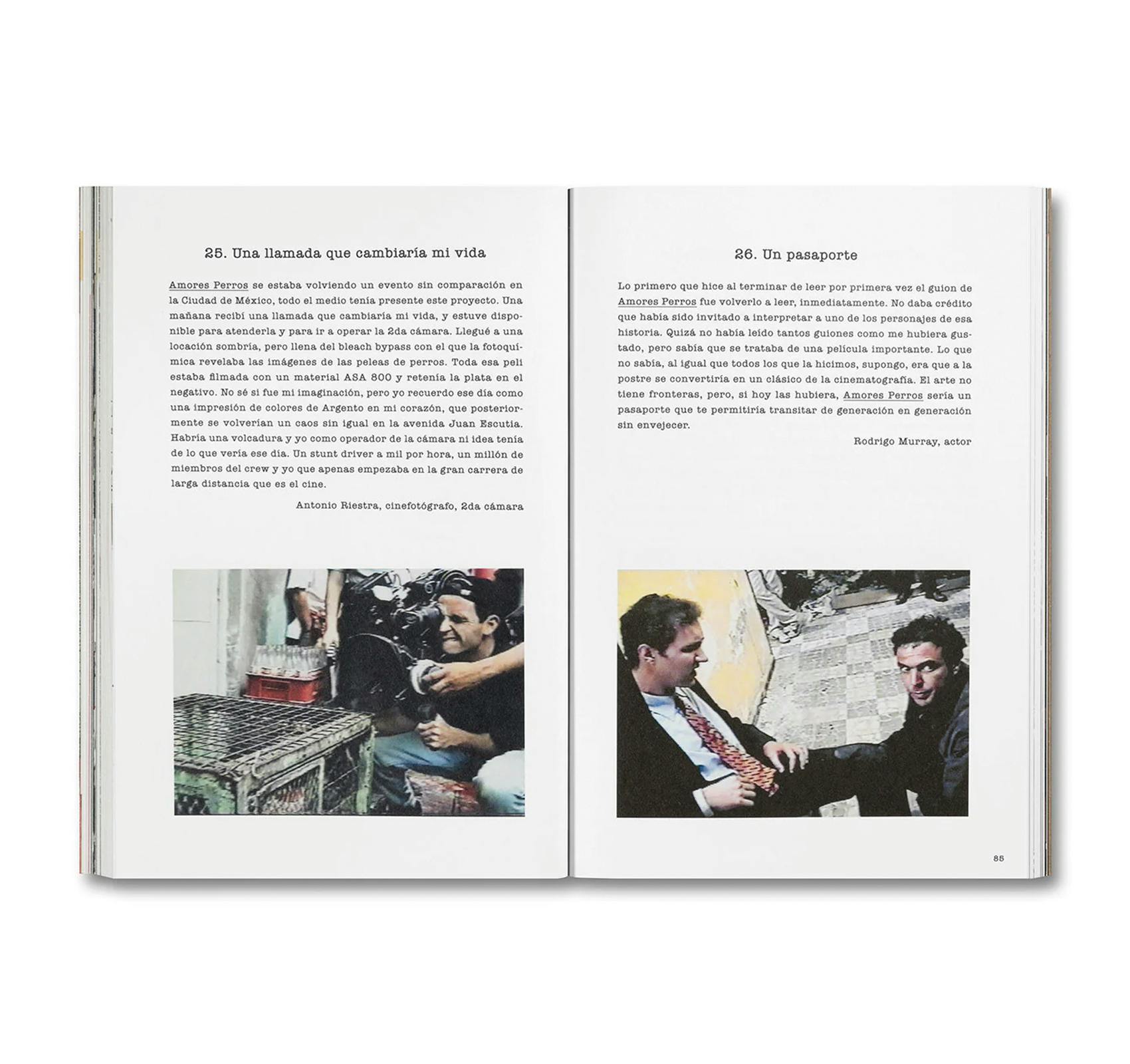 DESATAR AMORES PERROS [SPANISH EDITION]