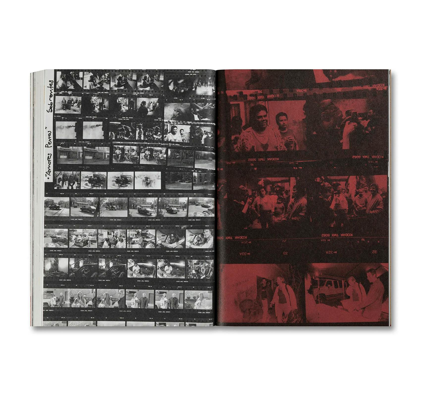 UNLEASHING AMORES PERROS [ENGLISH EDITION]