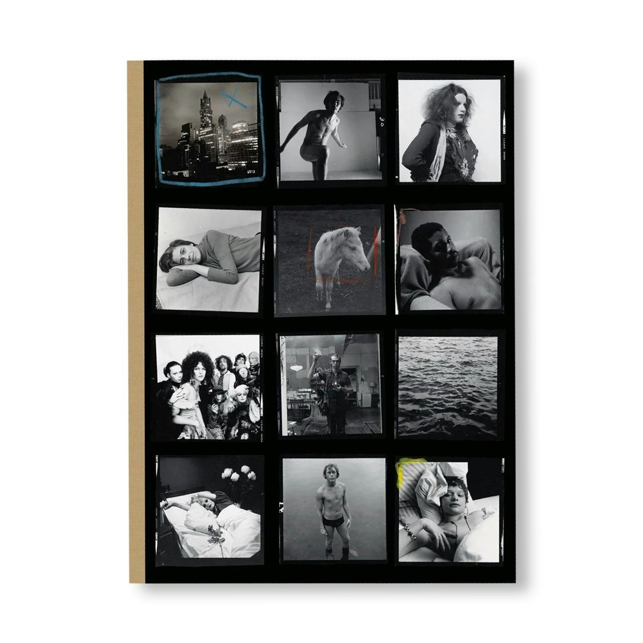 HUJAR: CONTACT