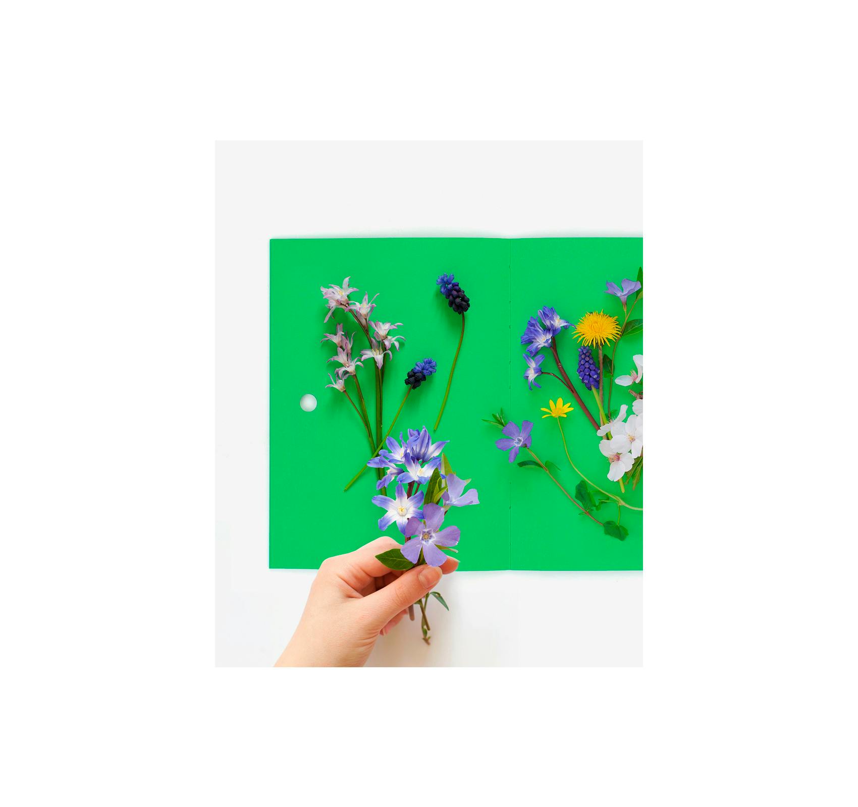 HERBIER