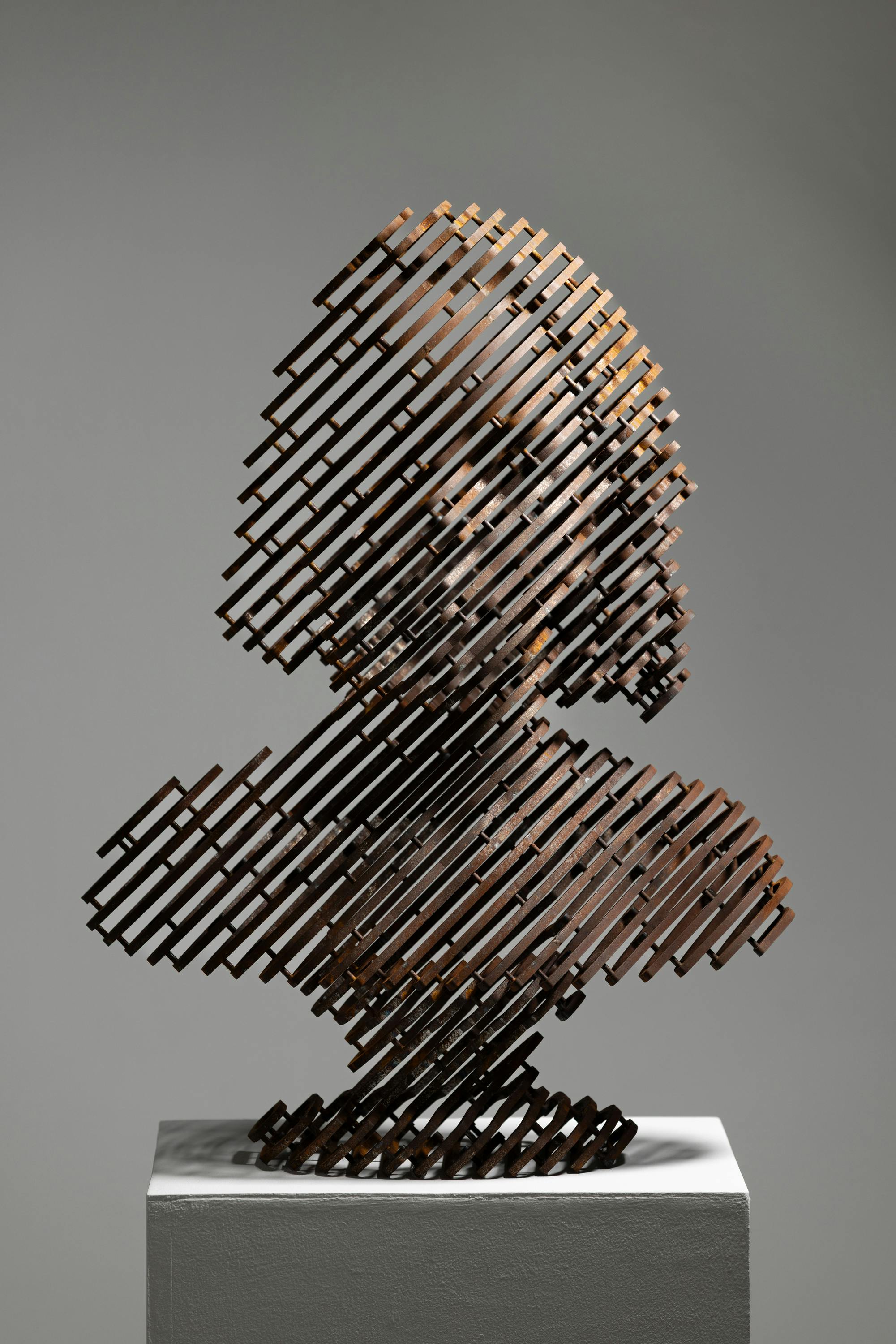 anonymouse-human #65 "visage"