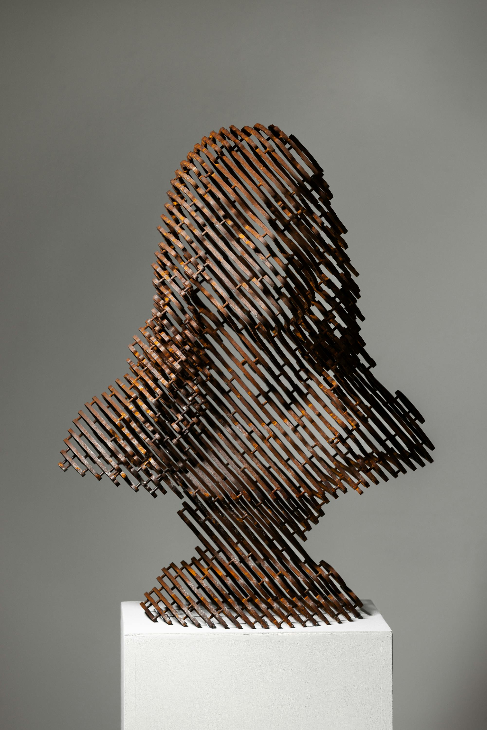 anonymouse-human #64 "visage"