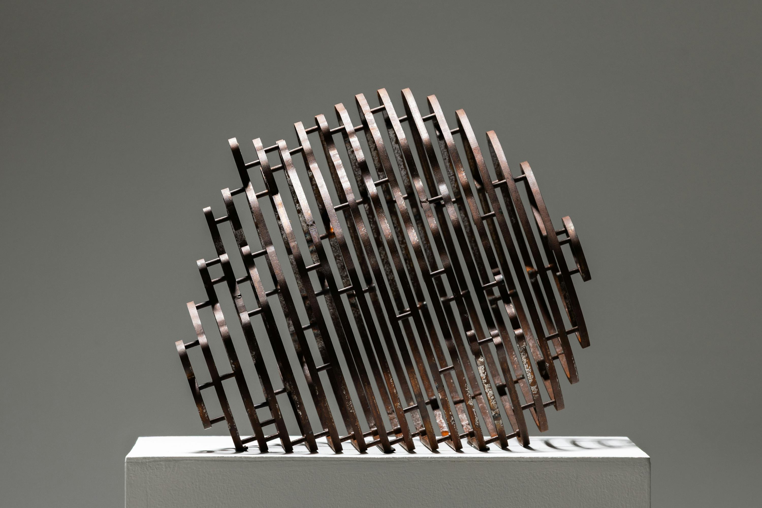 anonymouse-human #66 "visage"