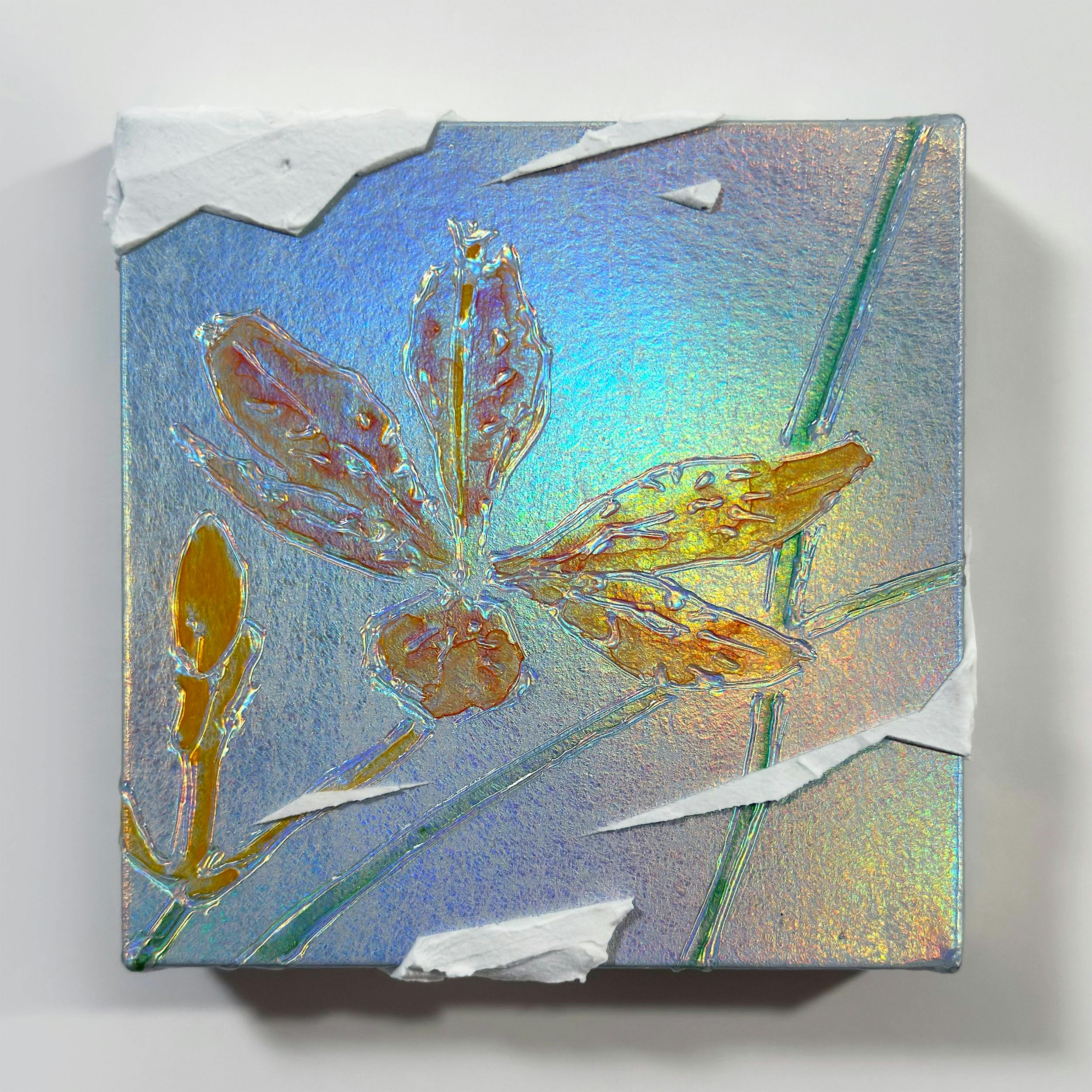 mini原画 ヒオウギ　Iris domestica