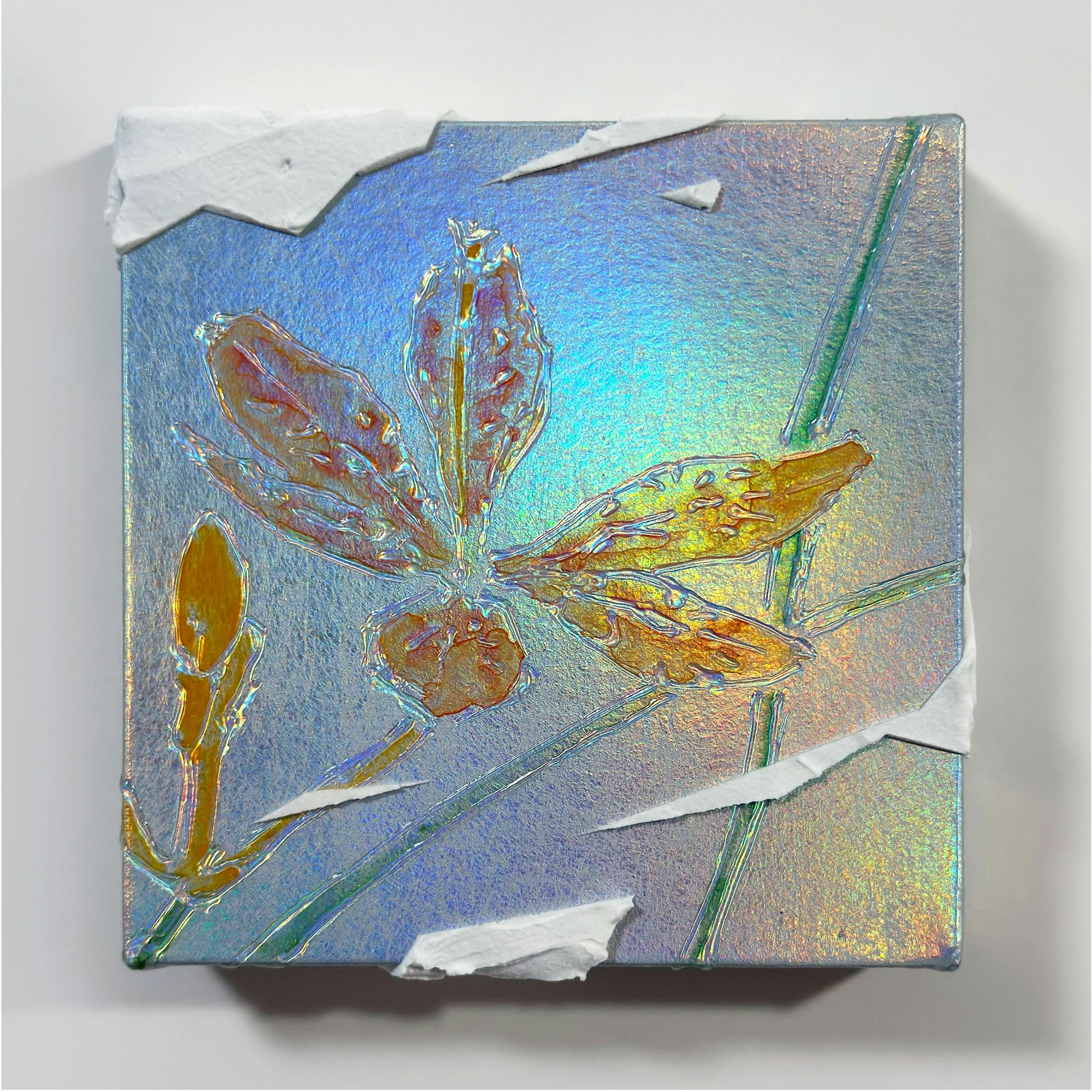mini原画 ヒオウギ　Iris domestica