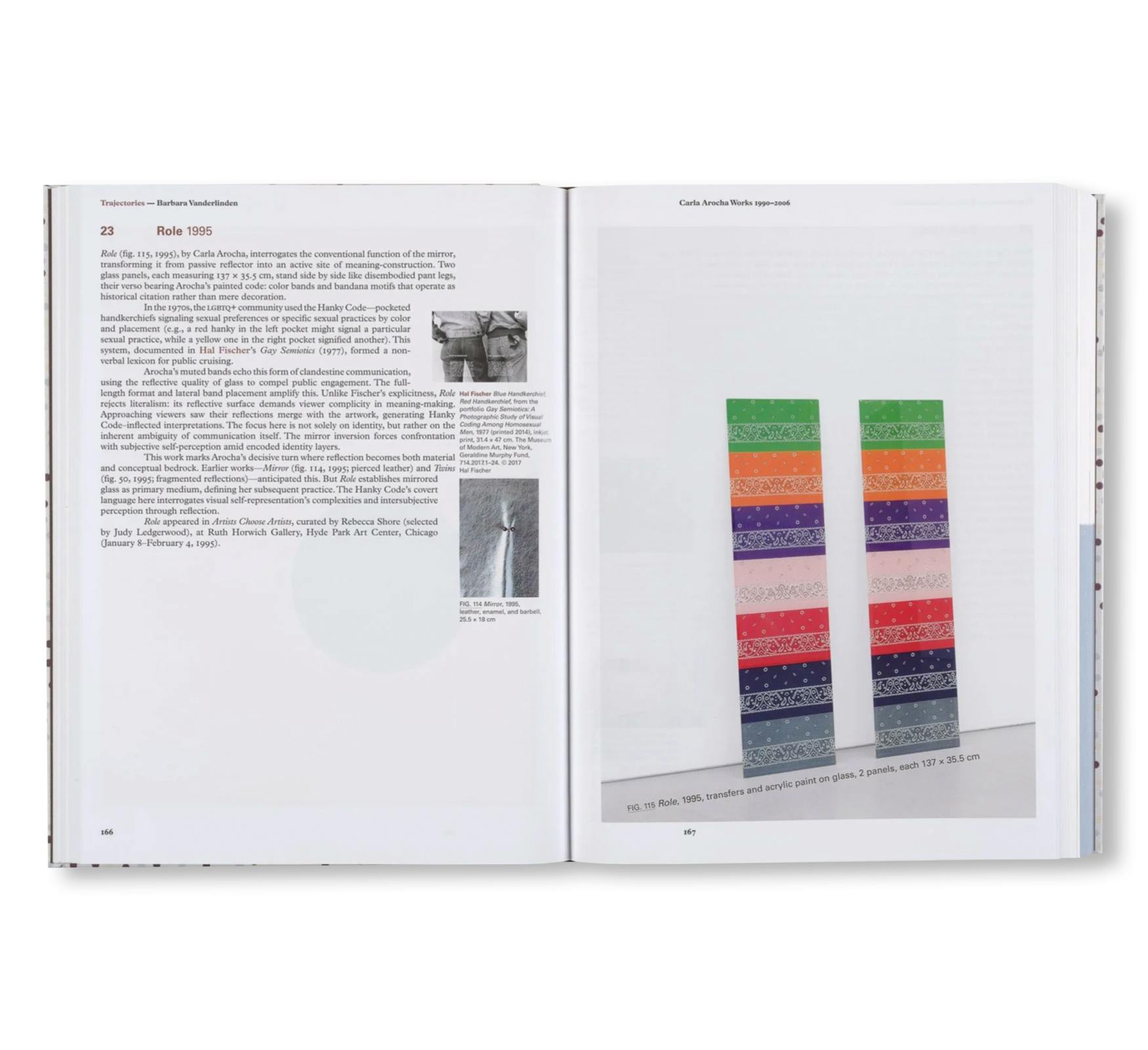 CARLA AROCHA AND STEPHANE SCHRAENEN: MONOGRAPH AS PROJECT