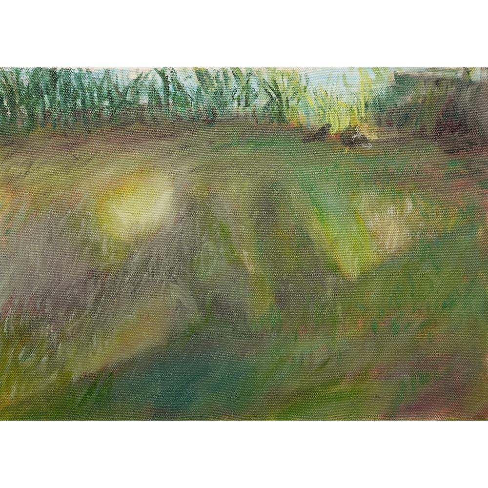 A Field of Sunlight