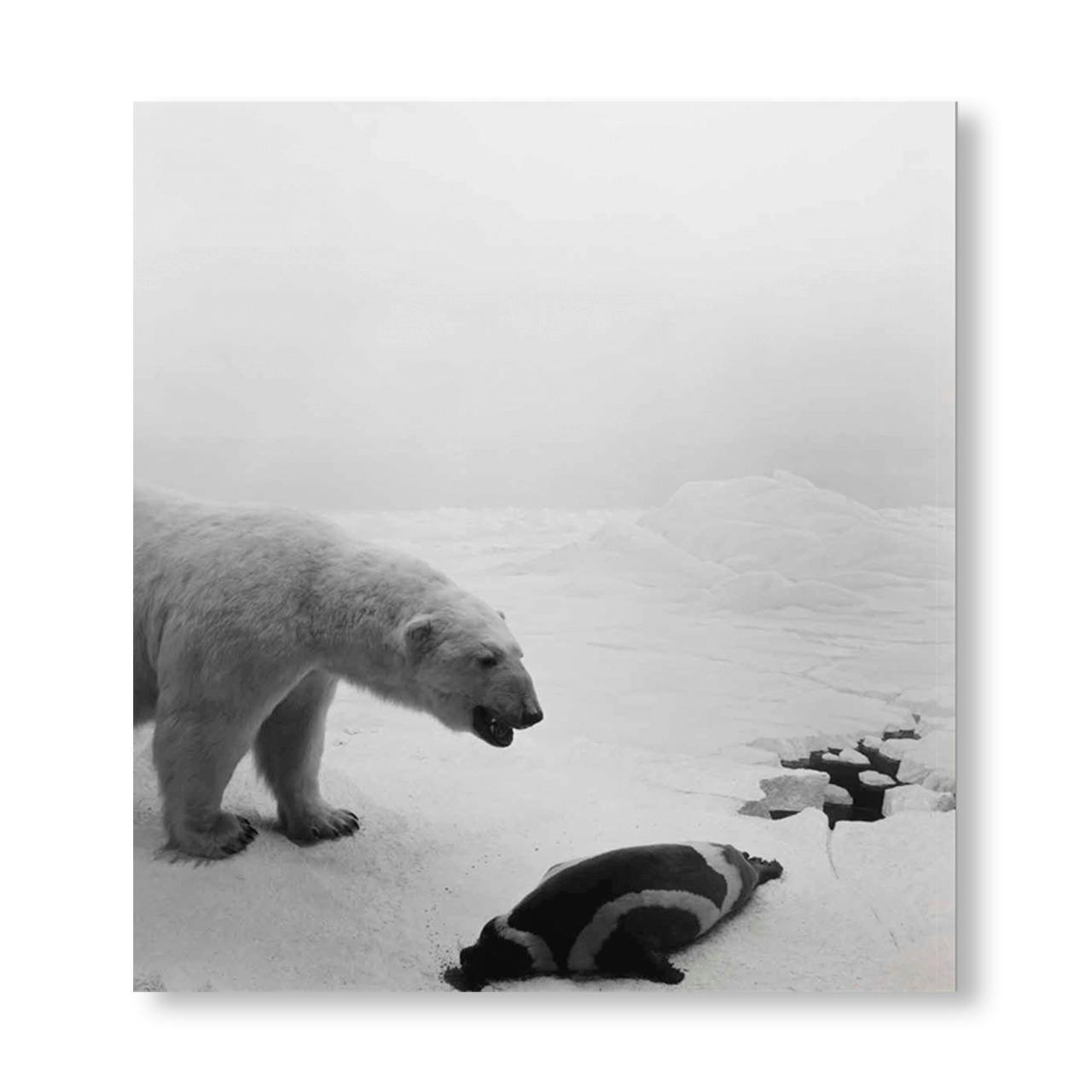 DIORAMAS [FRENCH EDITION]