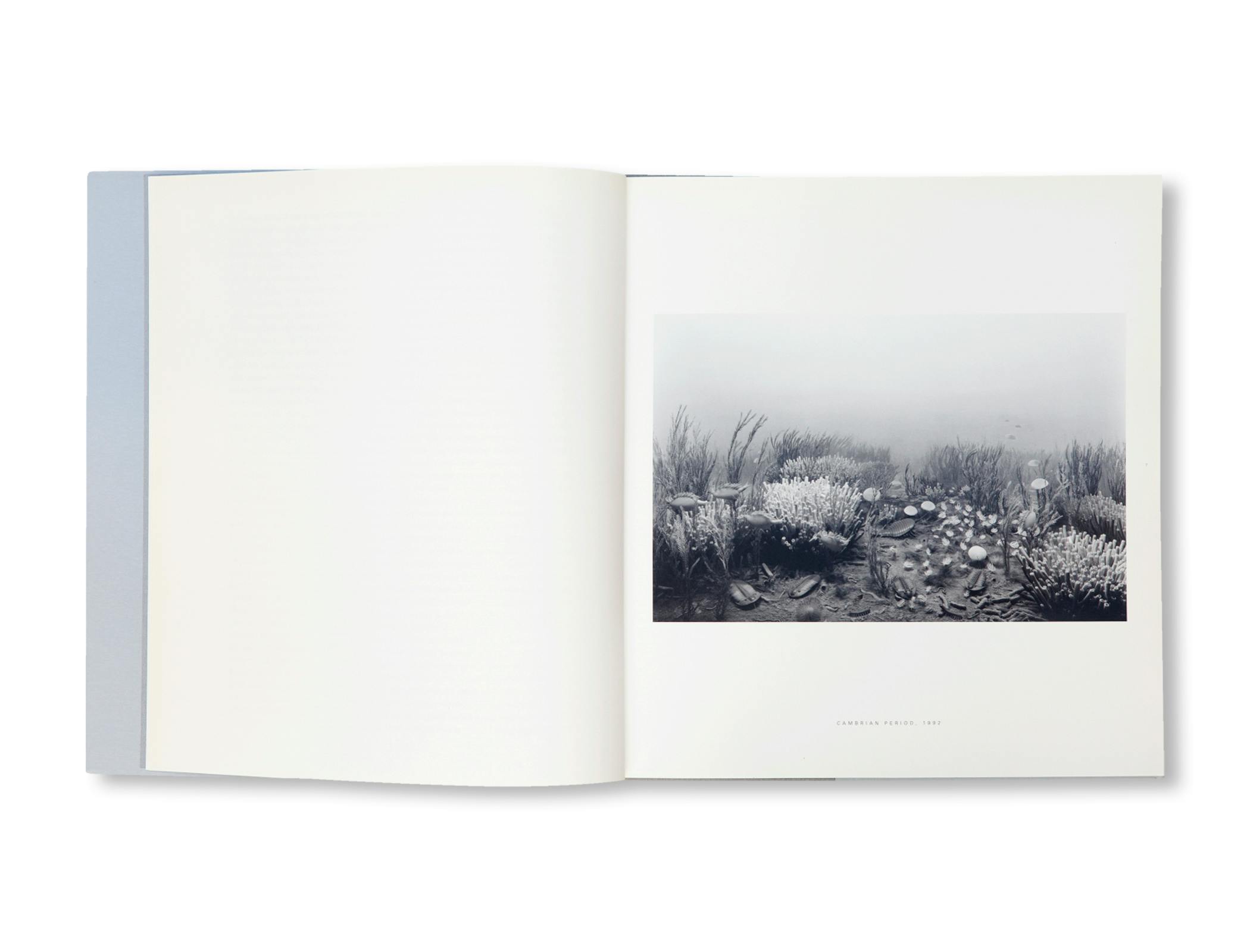 DIORAMAS [FRENCH EDITION]