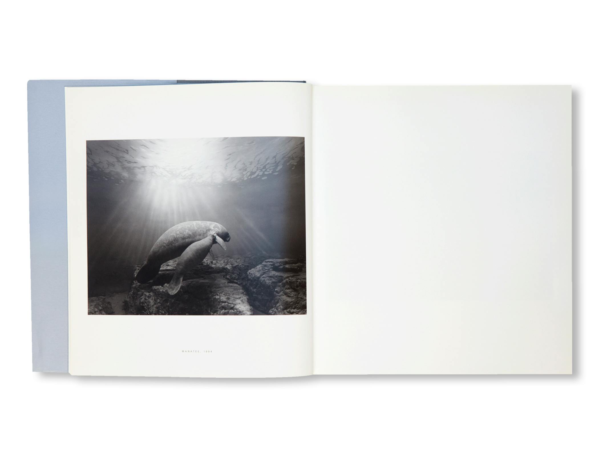DIORAMAS [FRENCH EDITION]