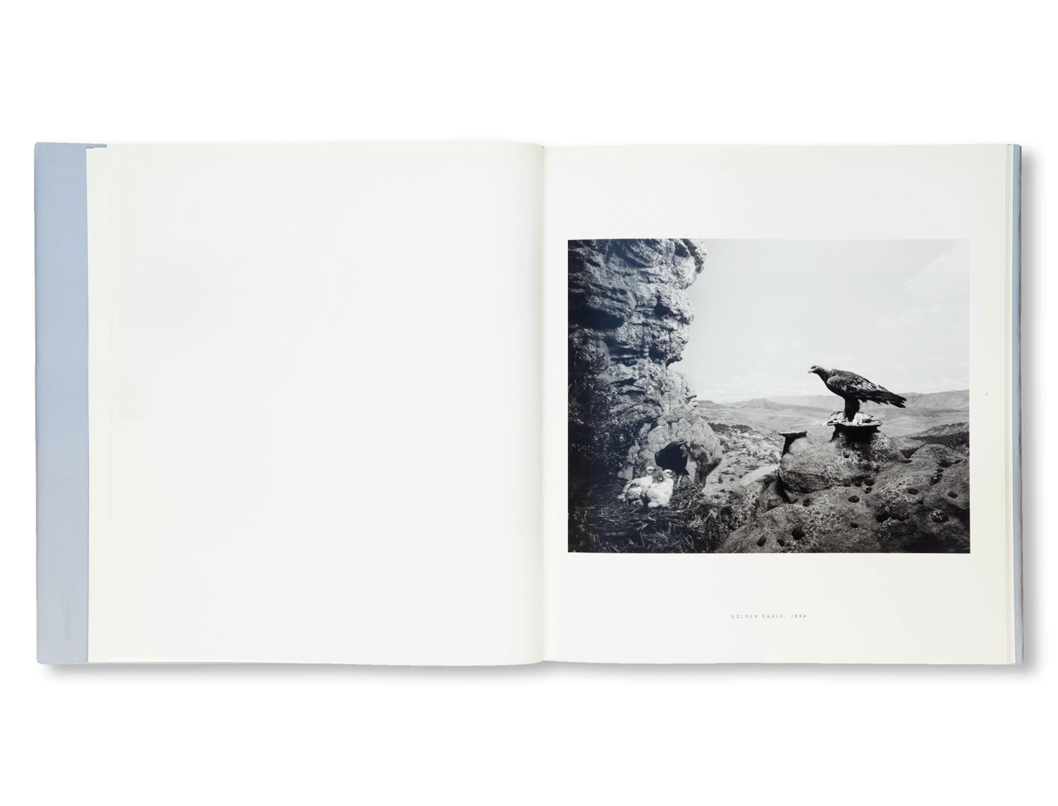DIORAMAS [FRENCH EDITION]
