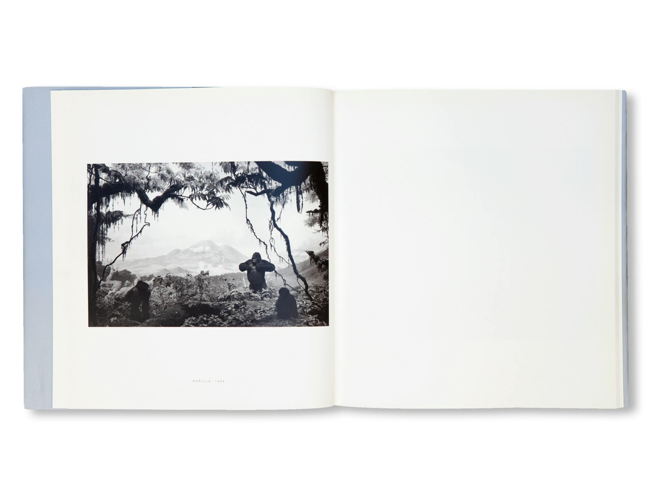 DIORAMAS [FRENCH EDITION]
