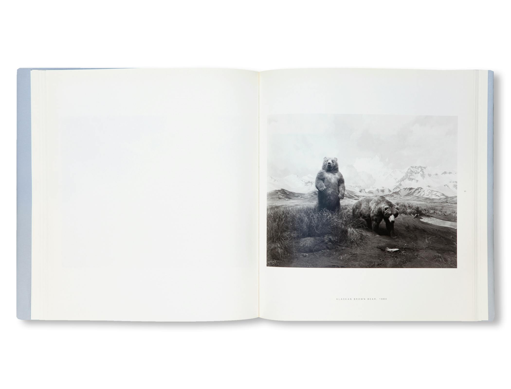 DIORAMAS [FRENCH EDITION]
