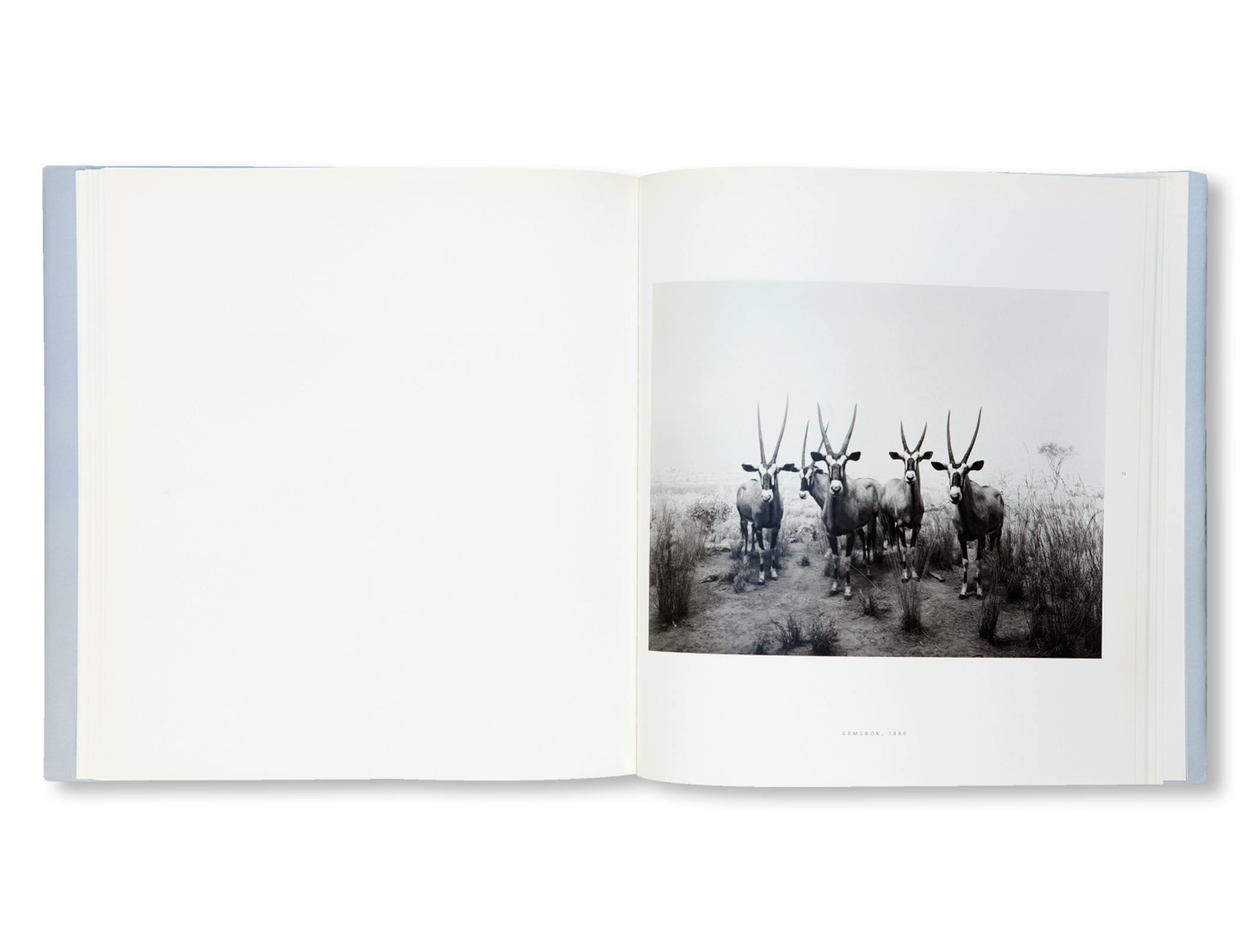 DIORAMAS [FRENCH EDITION]