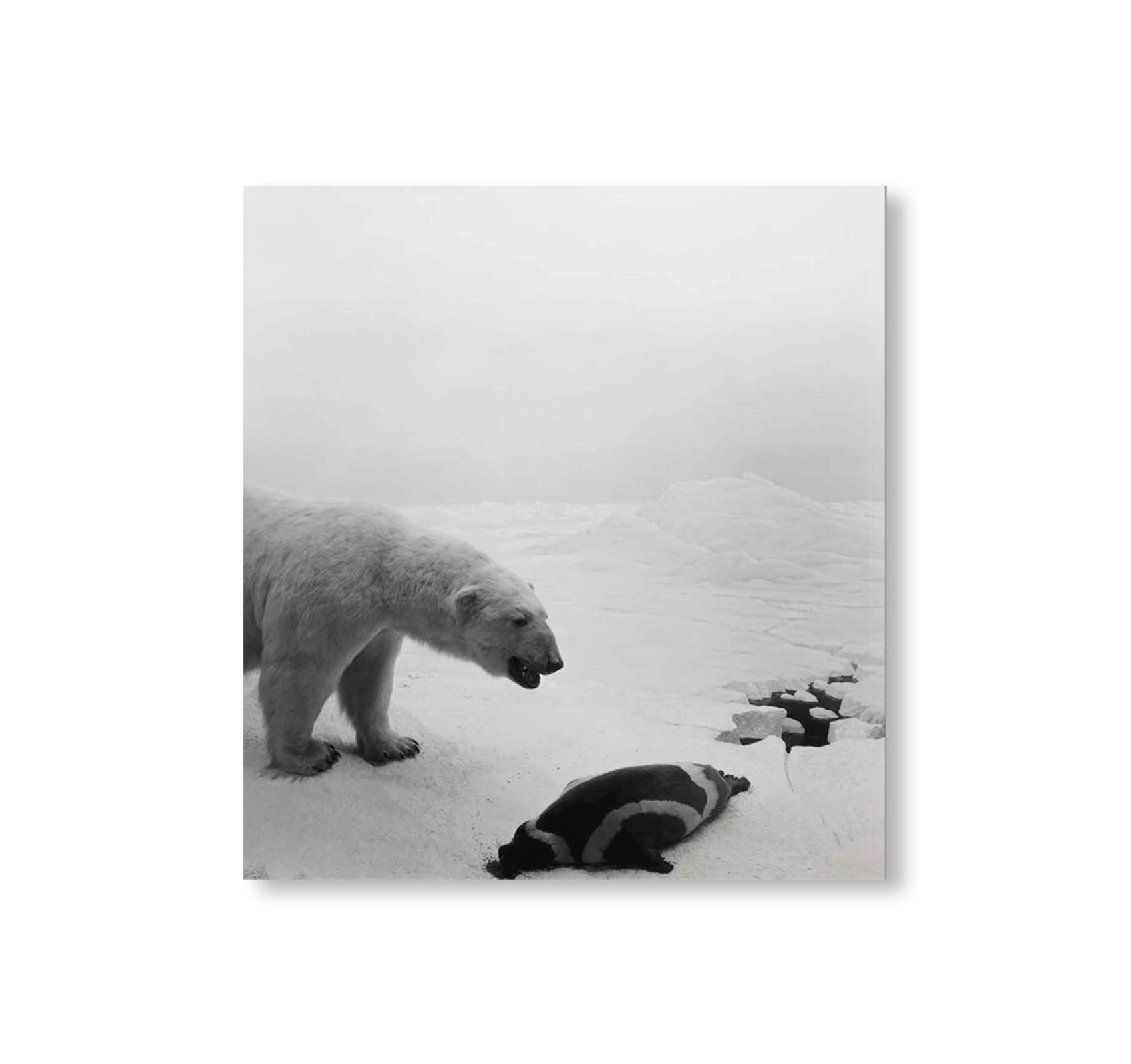 DIORAMAS [FRENCH EDITION]