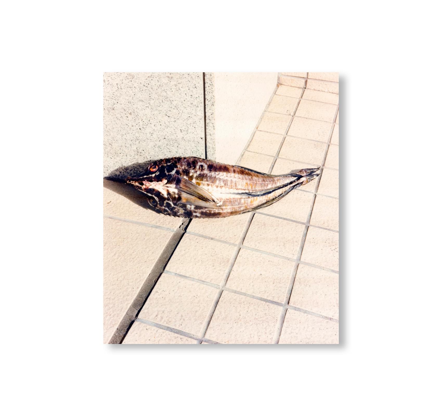 TOKYO FISHGRAPHS II [SPECIAL EDITION]