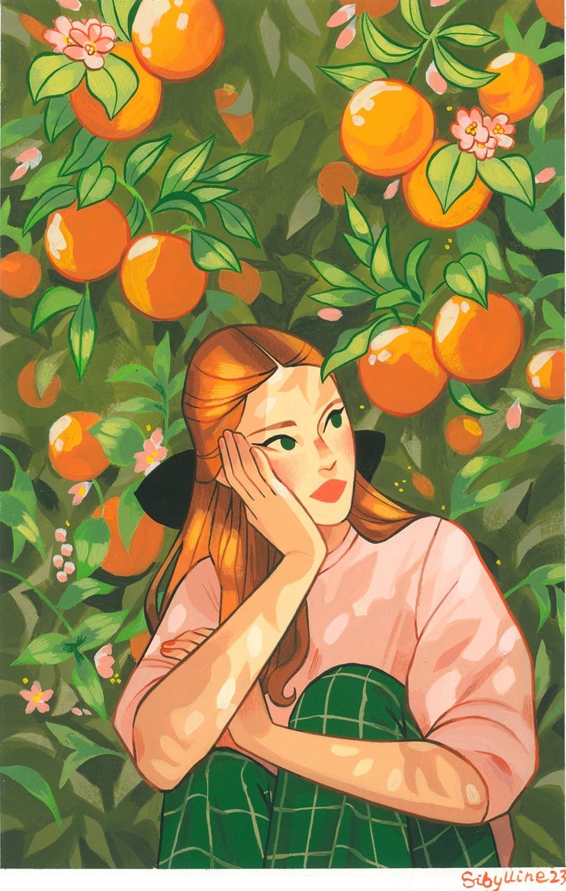 Hide & Seek