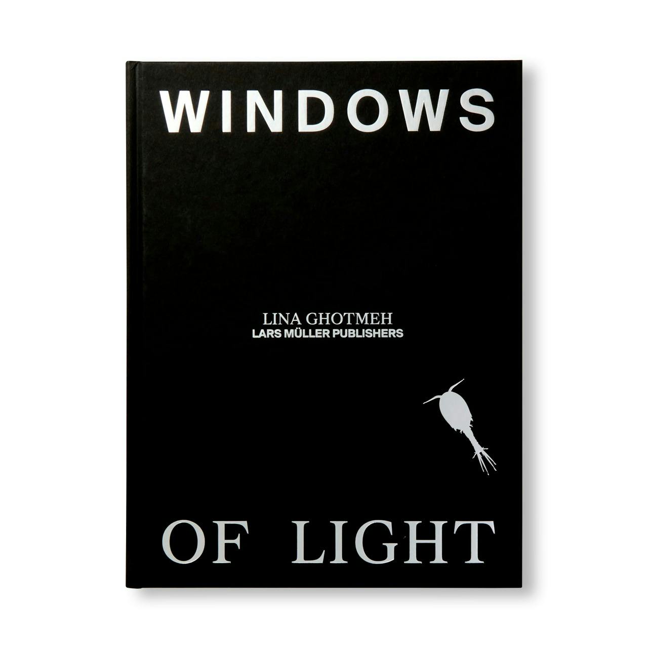 WINDOWS OF LIGHT