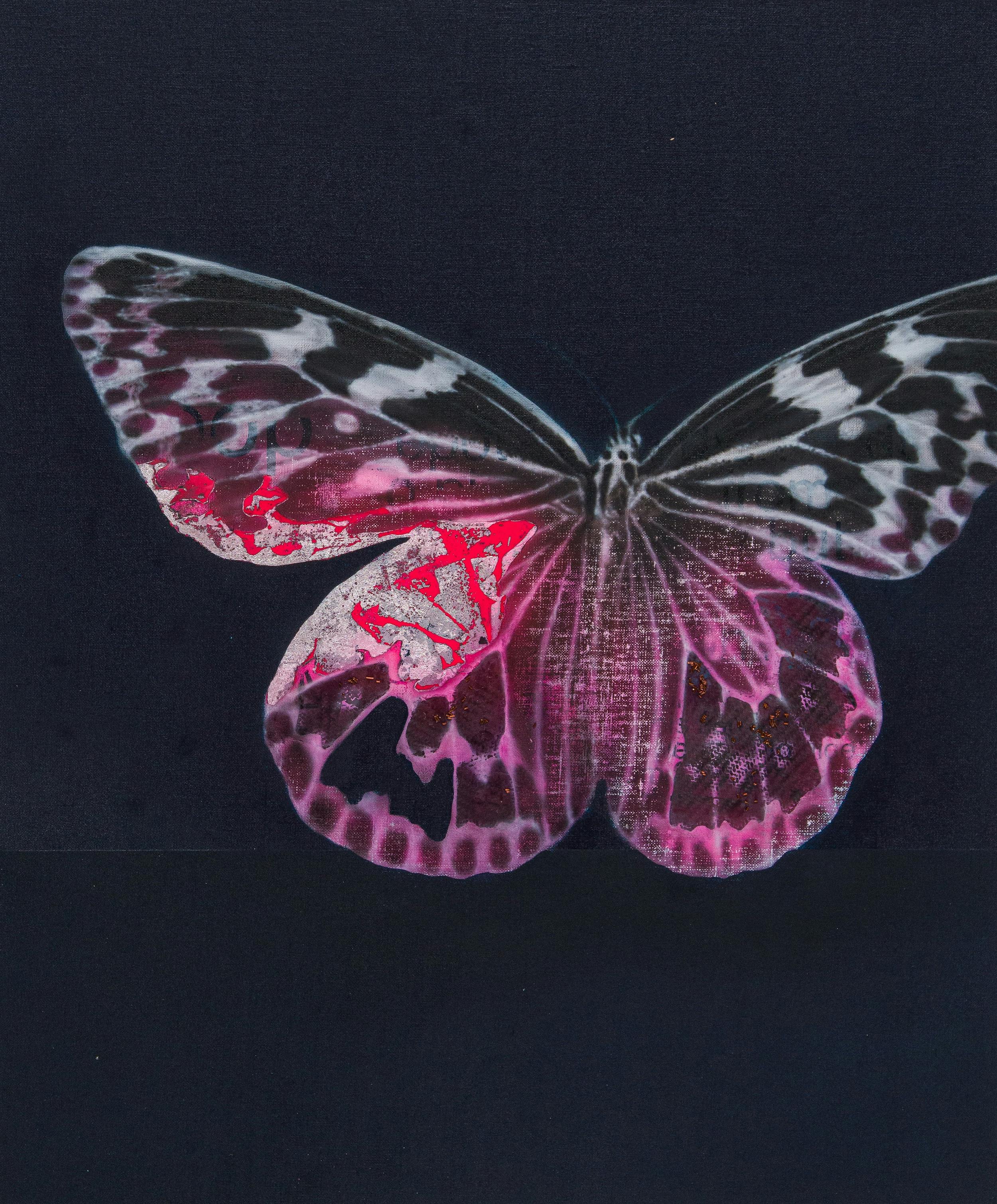 Cyborg Butterfly 6
