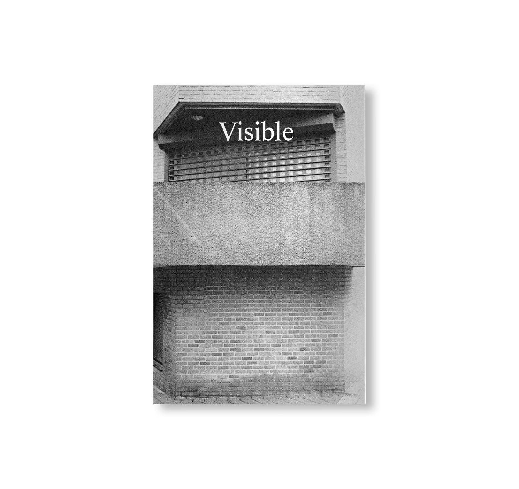 OTHER THINGS VISIBLE