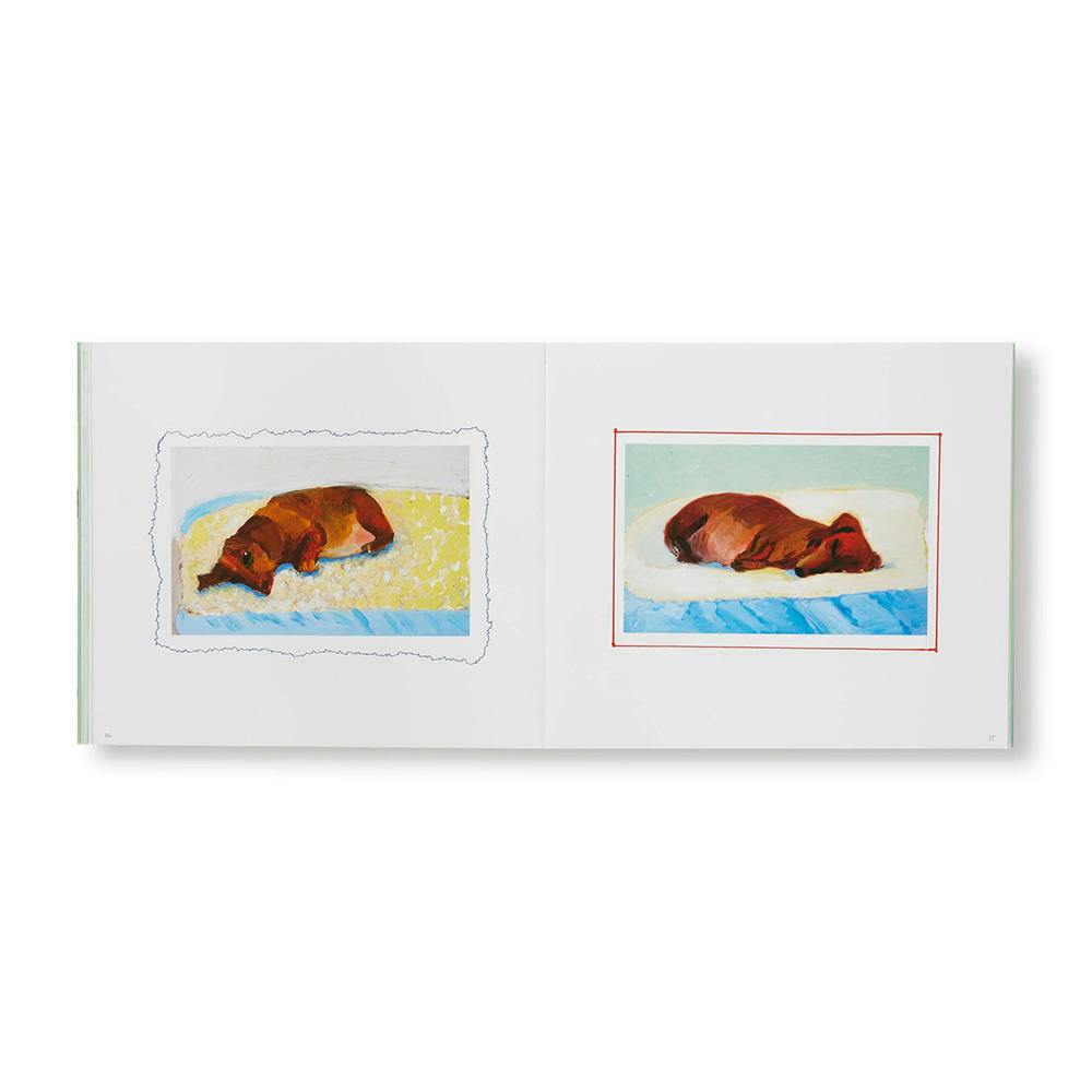 DAVID HOCKNEY'S DOG DAYS(P)