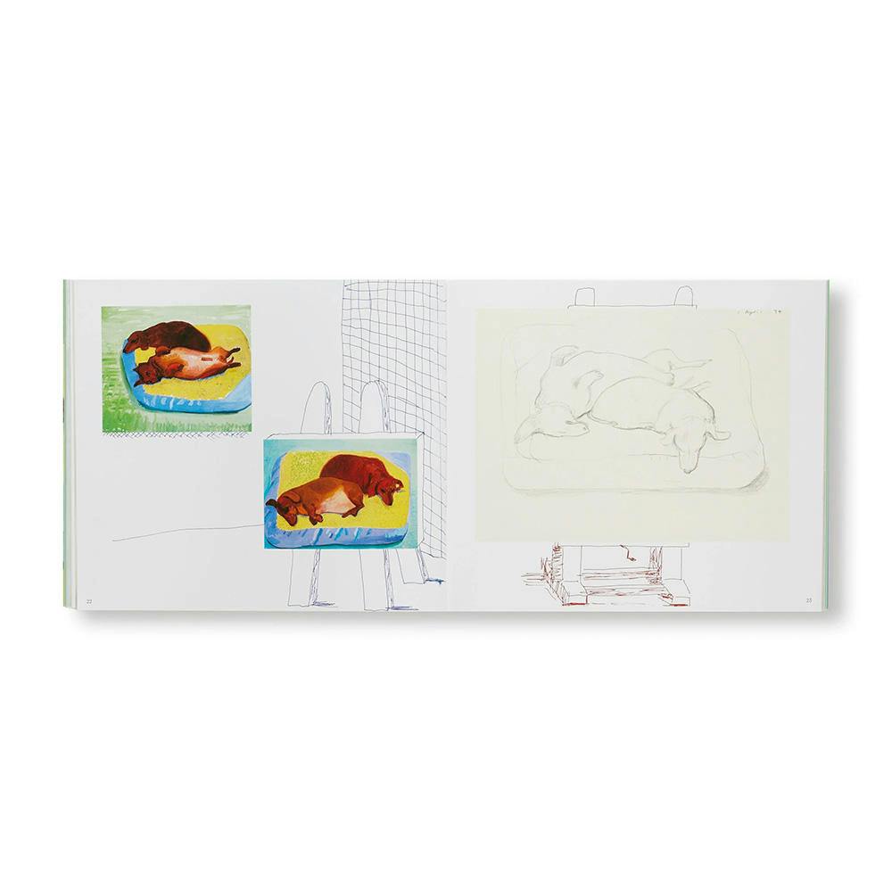 DAVID HOCKNEY'S DOG DAYS(P)