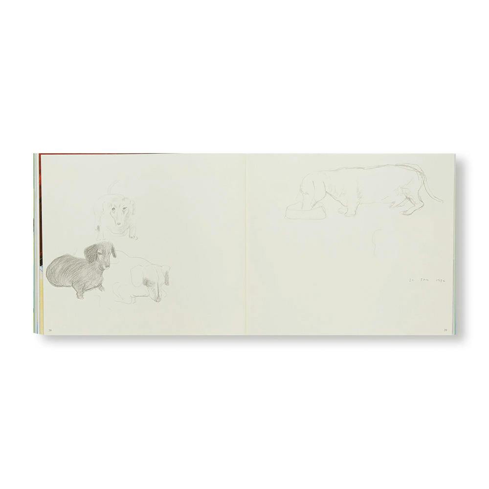 DAVID HOCKNEY'S DOG DAYS(P)