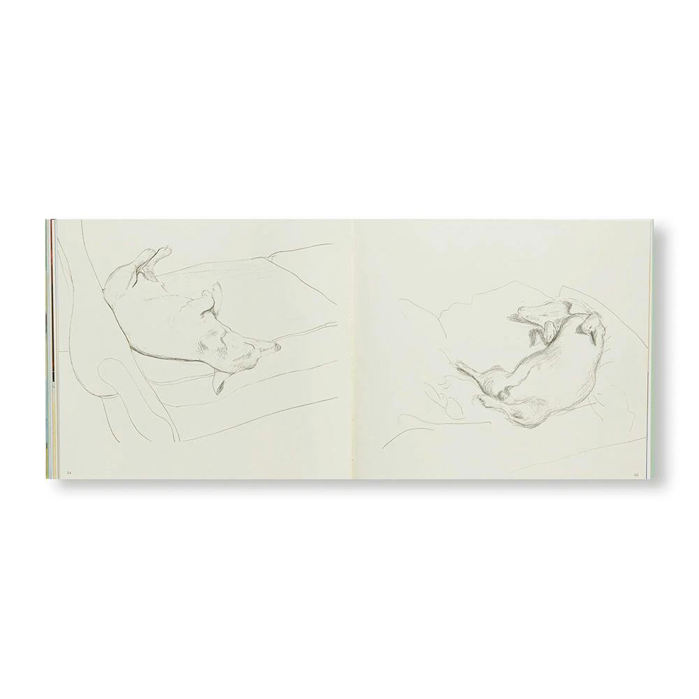 DAVID HOCKNEY'S DOG DAYS(P)