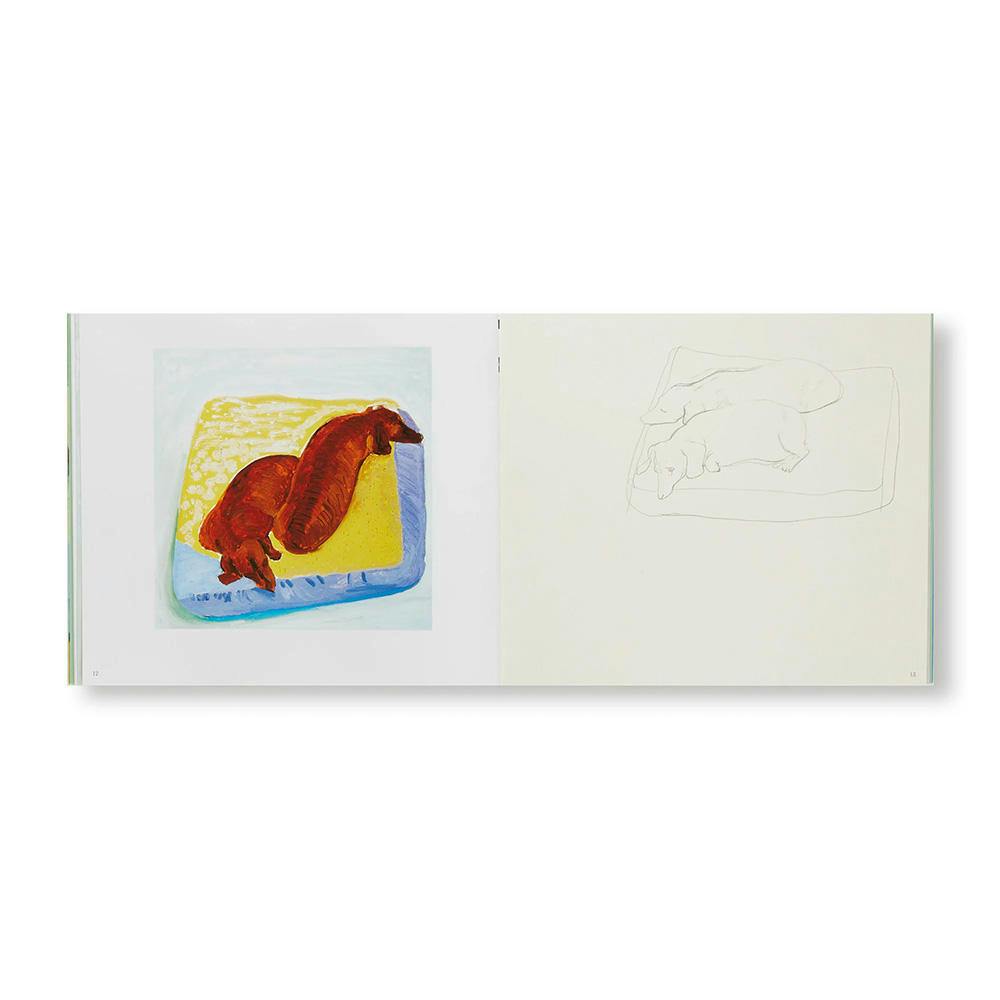 DAVID HOCKNEY'S DOG DAYS(P)