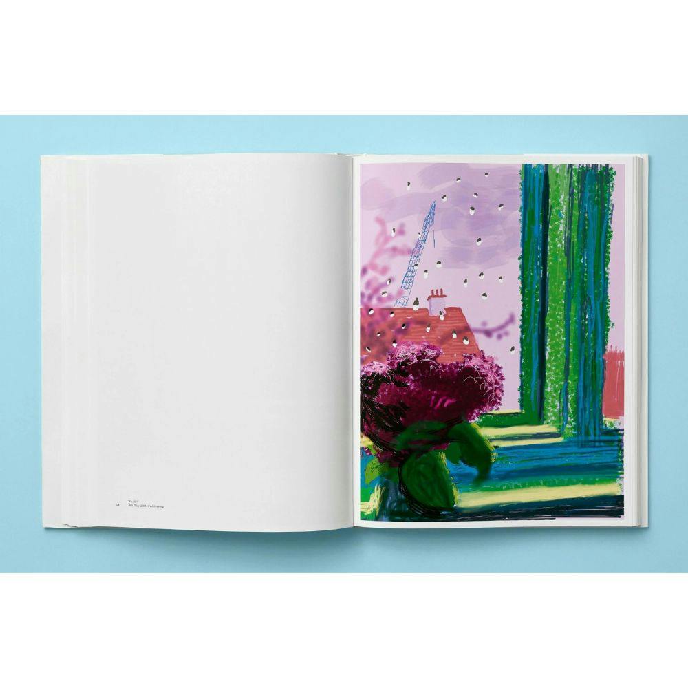 David Hockney. My Window