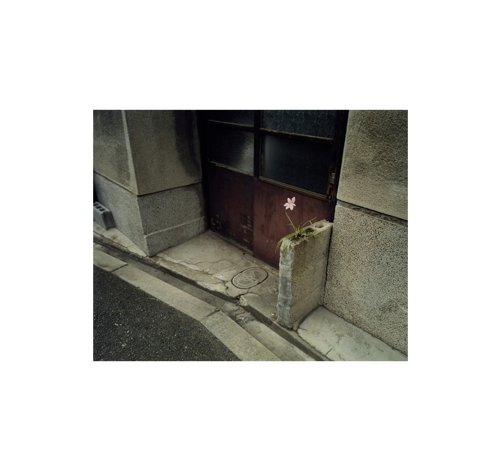 [予約受付中] THE ARTIST’S ATLAS: TOKYO