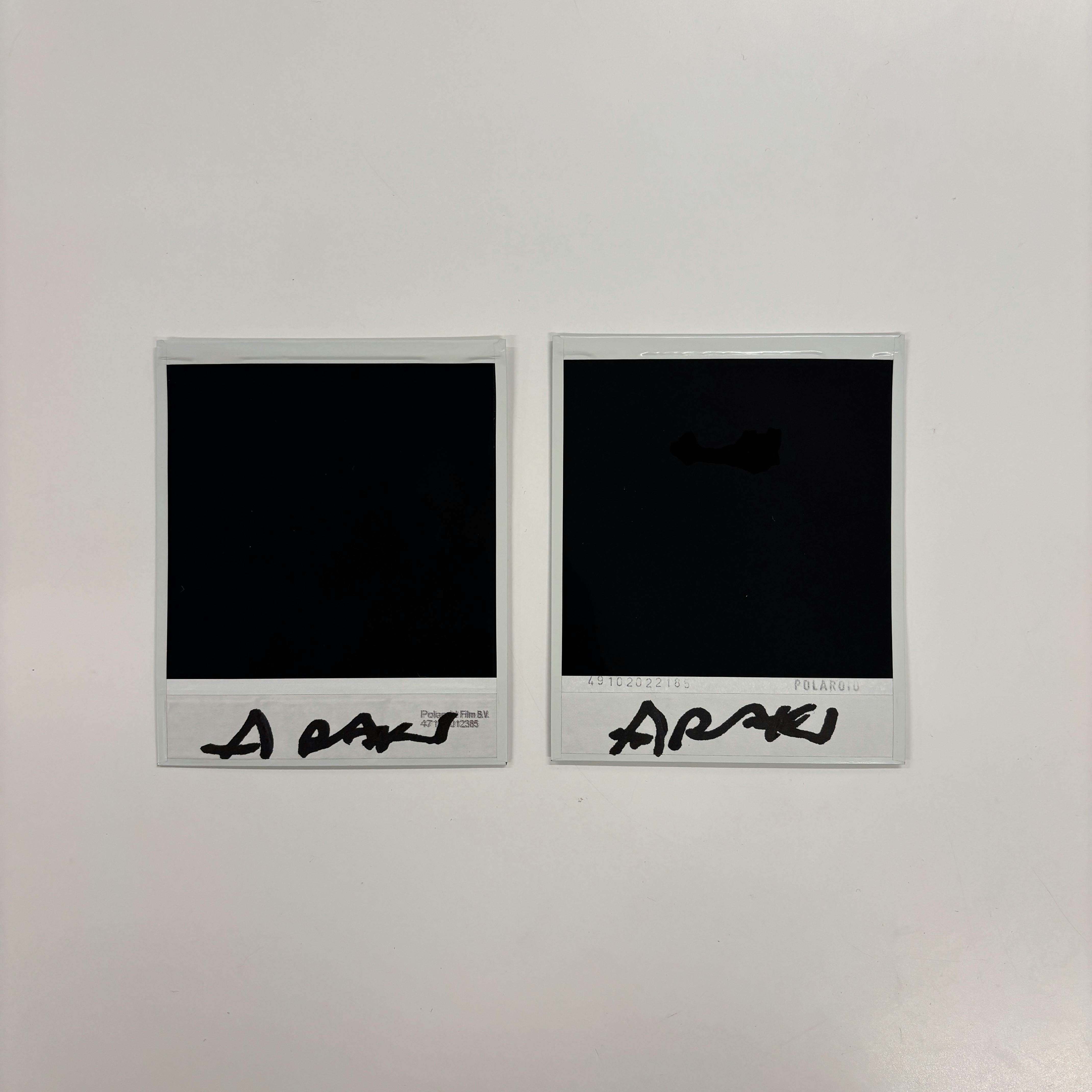 【荒木経惟/額装2枚組・サイン入り】Polaroid No.9-2