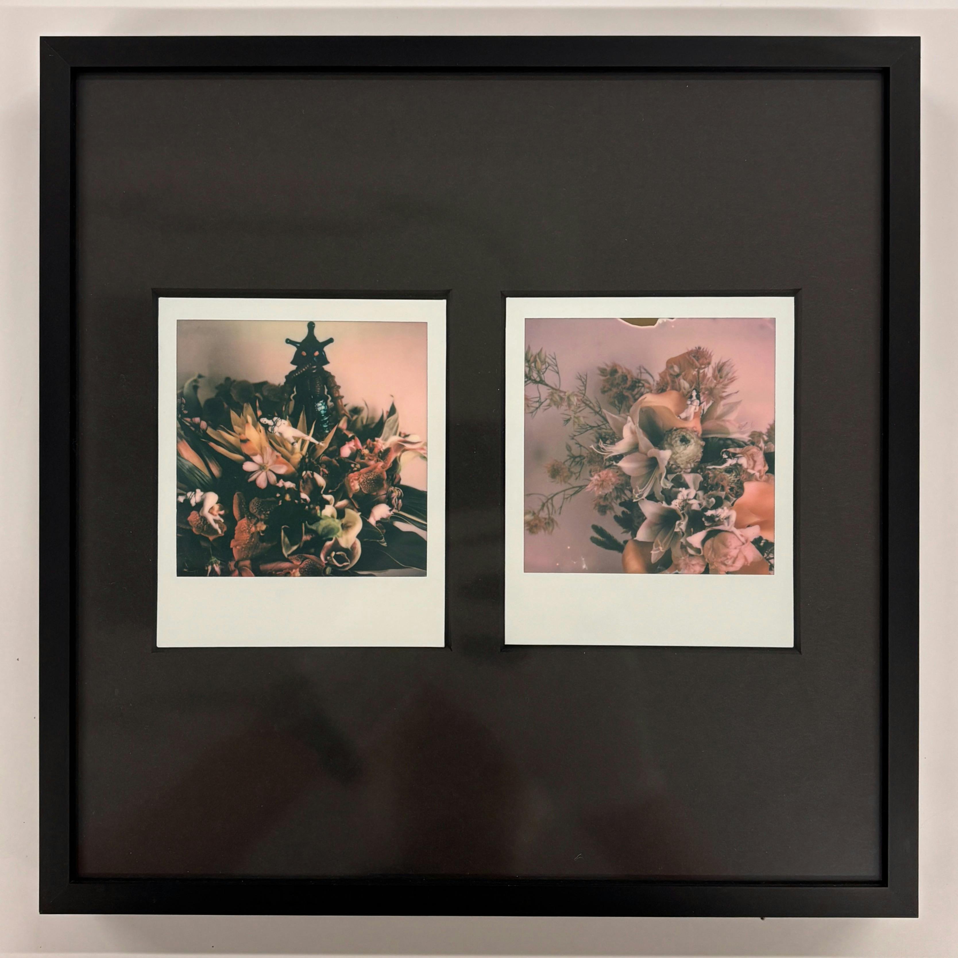 【荒木経惟/額装2枚組・サイン入り】Polaroid No.9-3