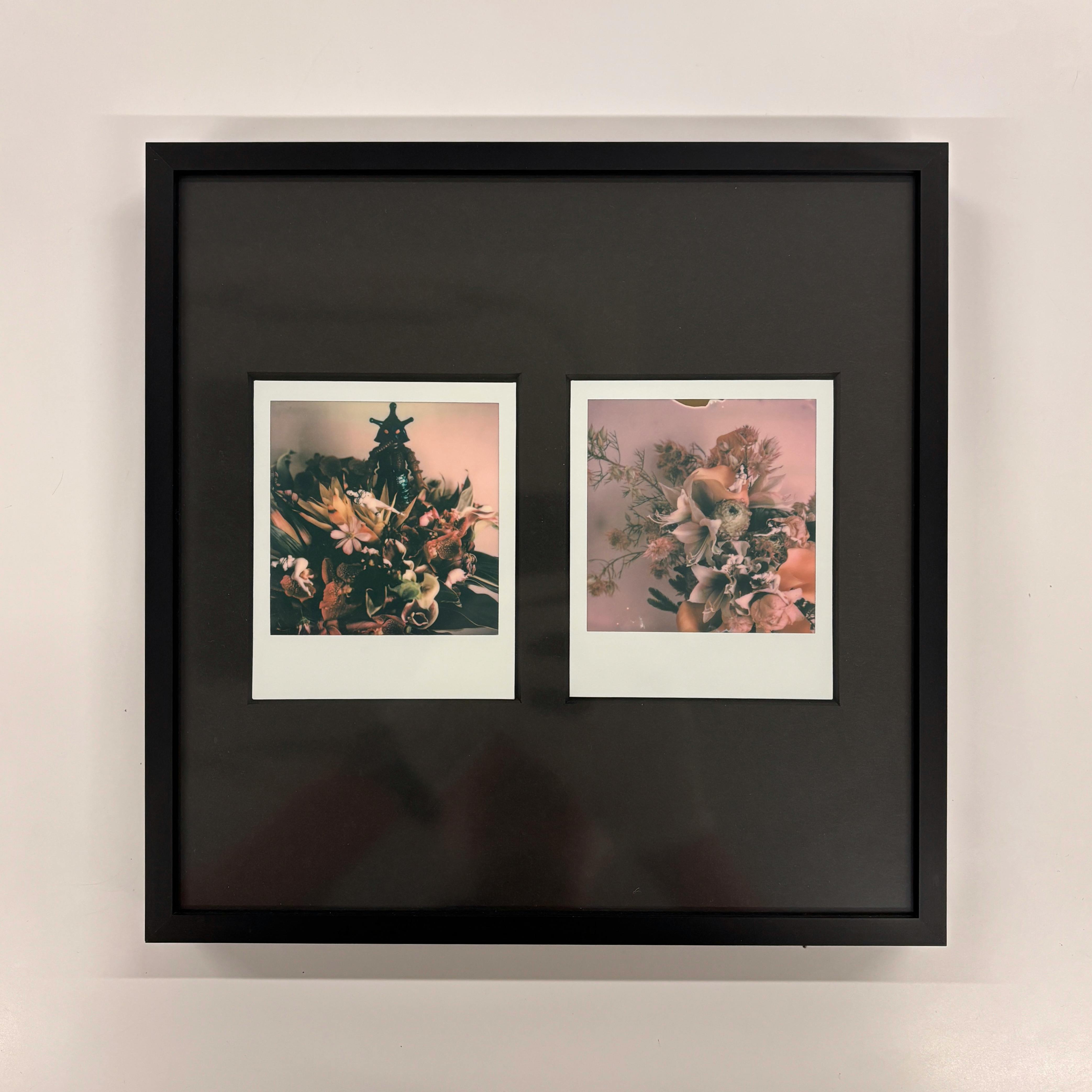 【荒木経惟/額装2枚組・サイン入り】Polaroid No.9-3
