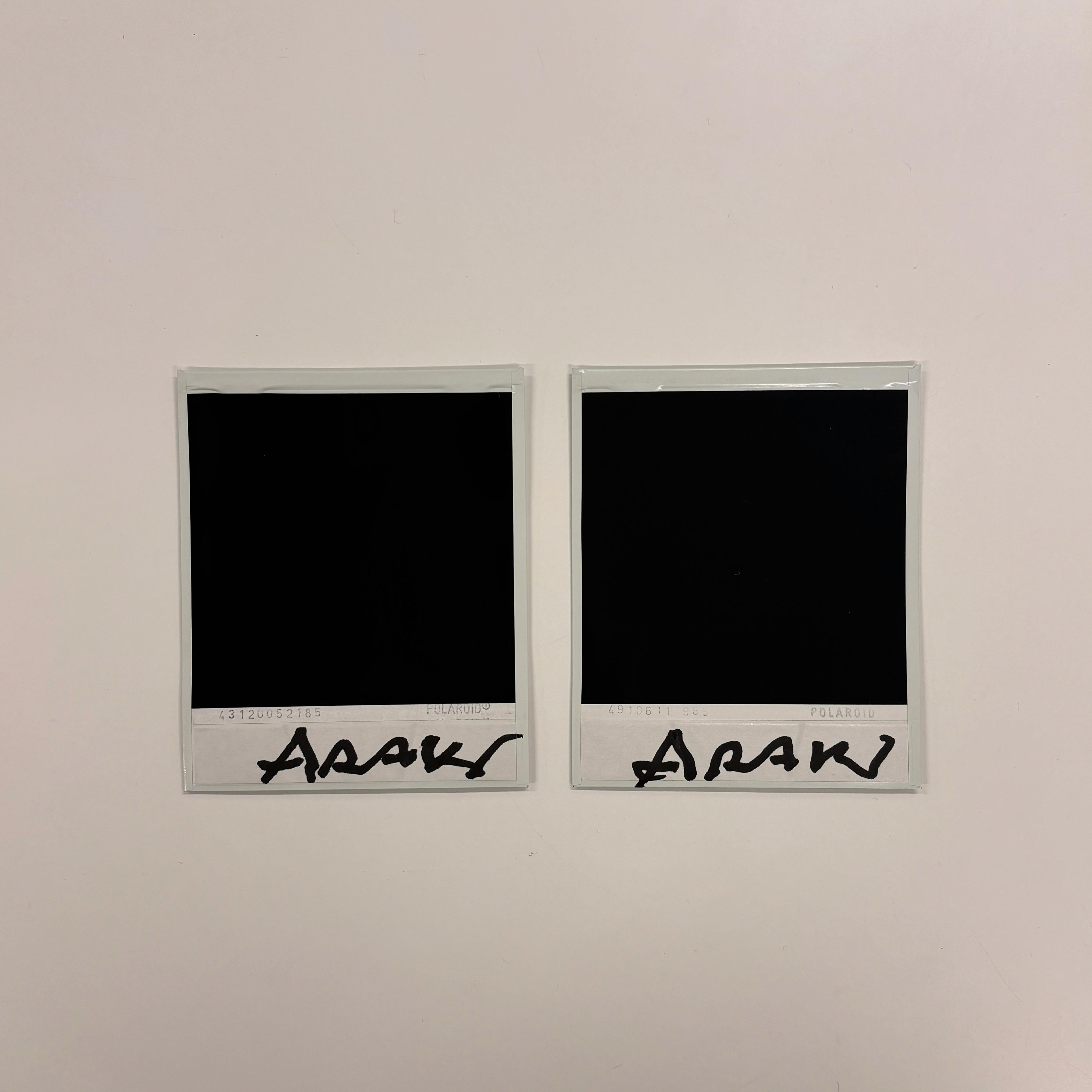 【荒木経惟/額装2枚組・サイン入り】Polaroid No.9-3