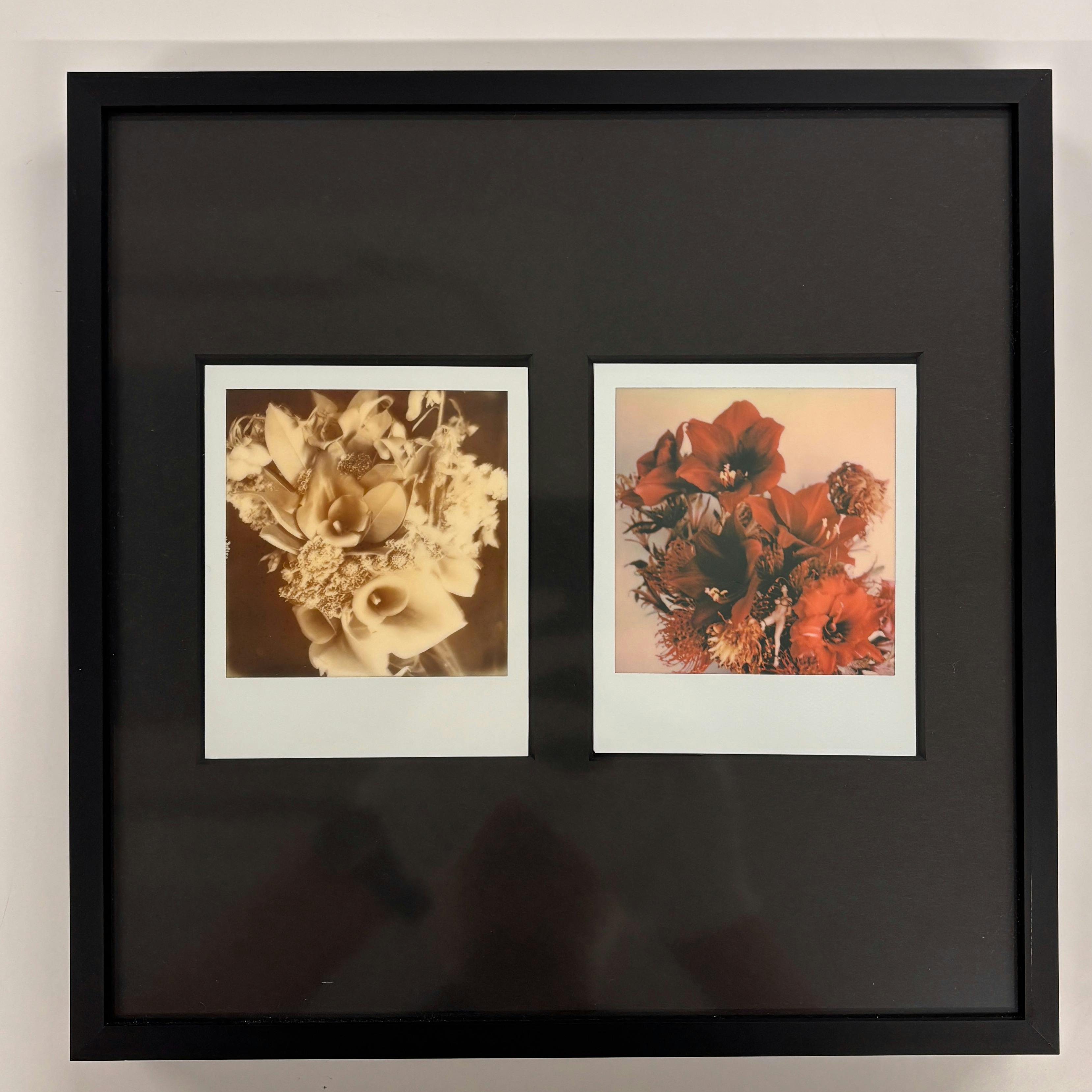 【荒木経惟/額装2枚組・サイン入り】Polaroid No.6