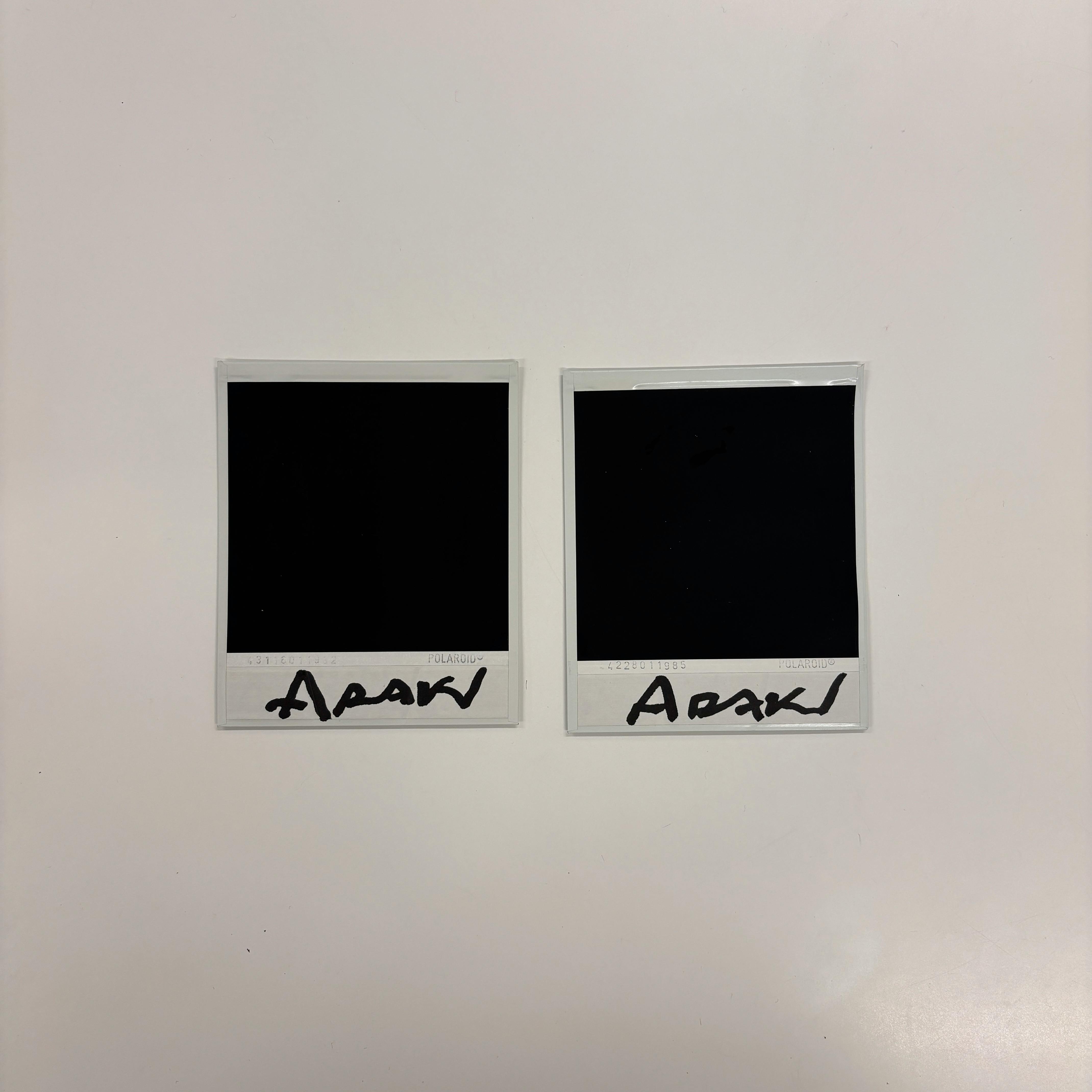【荒木経惟/額装2枚組・サイン入り】Polaroid No.6