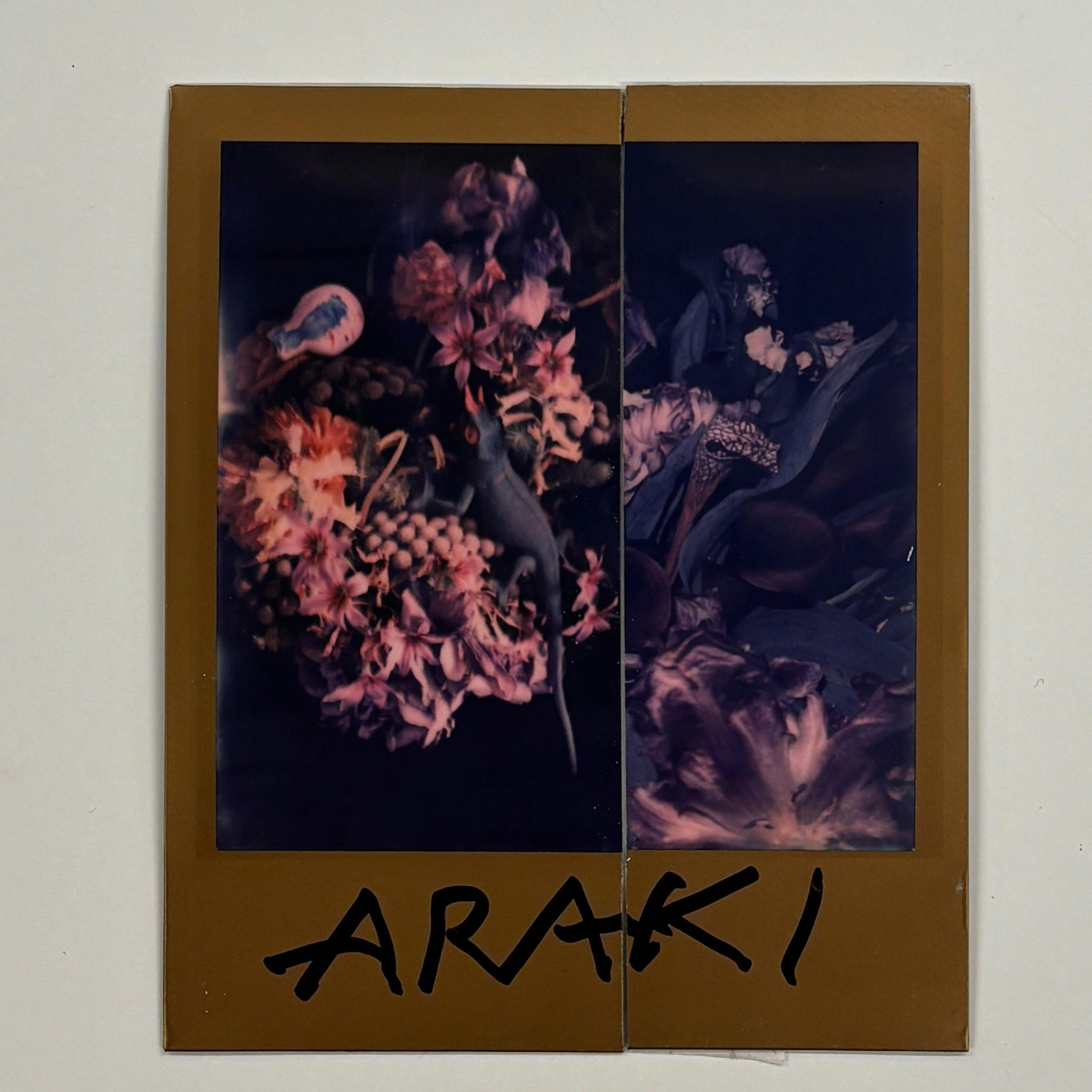 【荒木経惟/サイン入り】Polaroid collage
