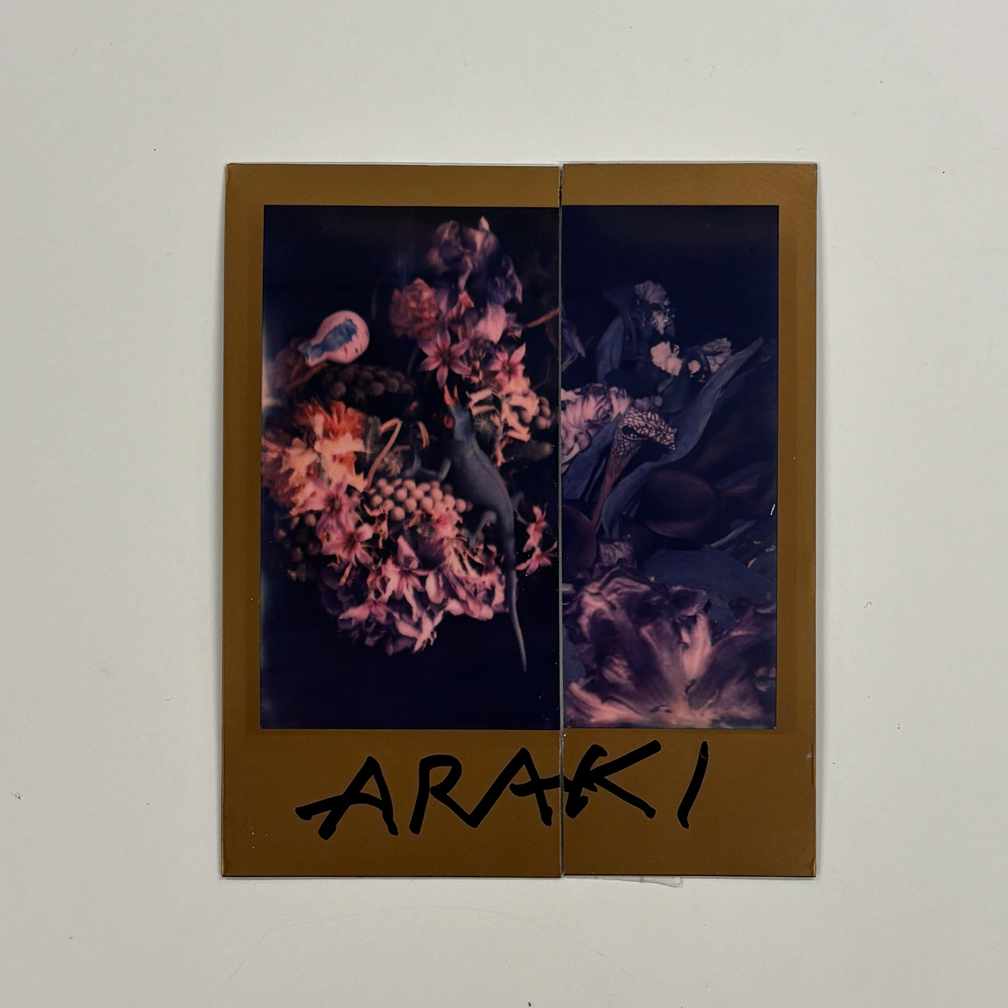 【荒木経惟/サイン入り】Polaroid collage