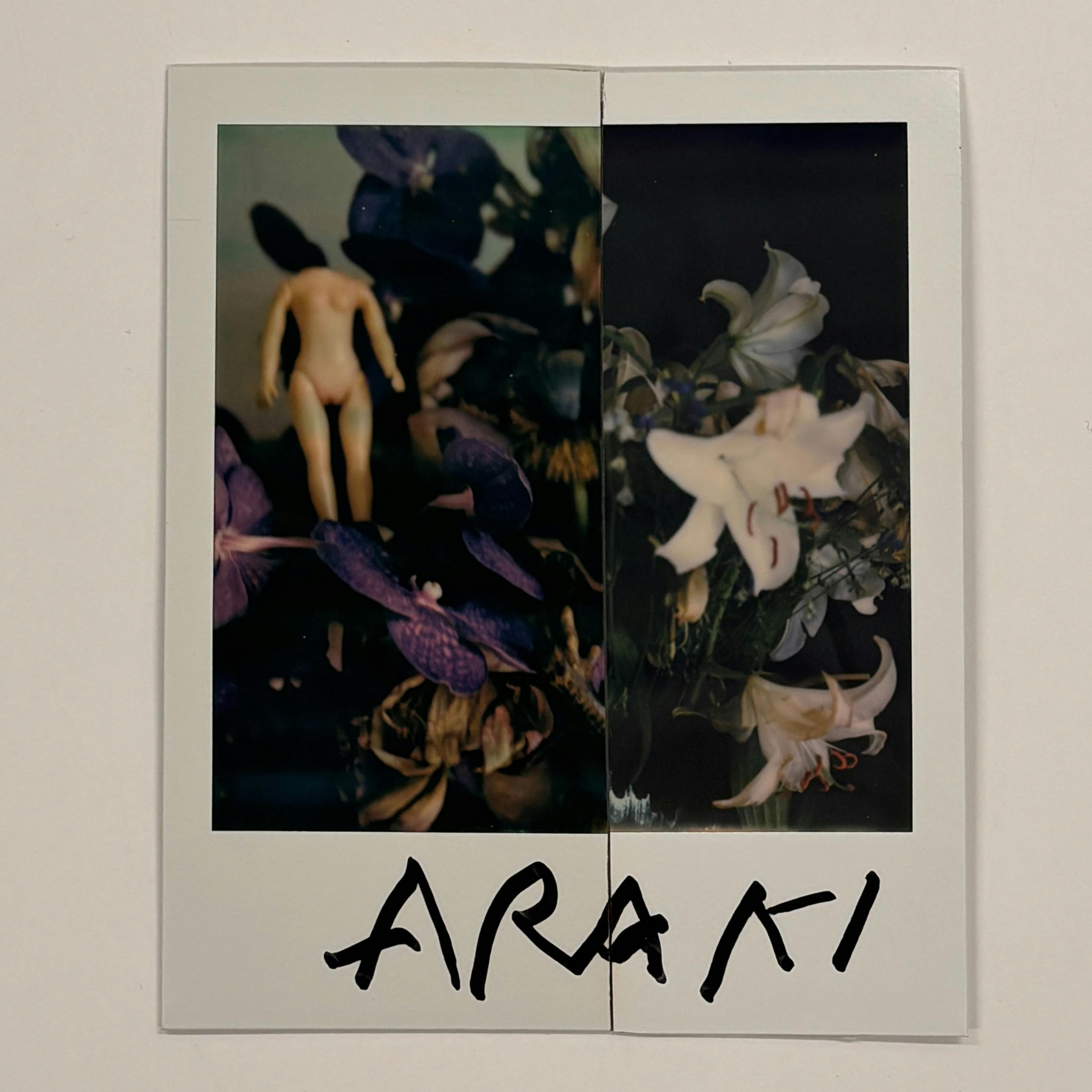 【荒木経惟/サイン入り】Polaroid collage